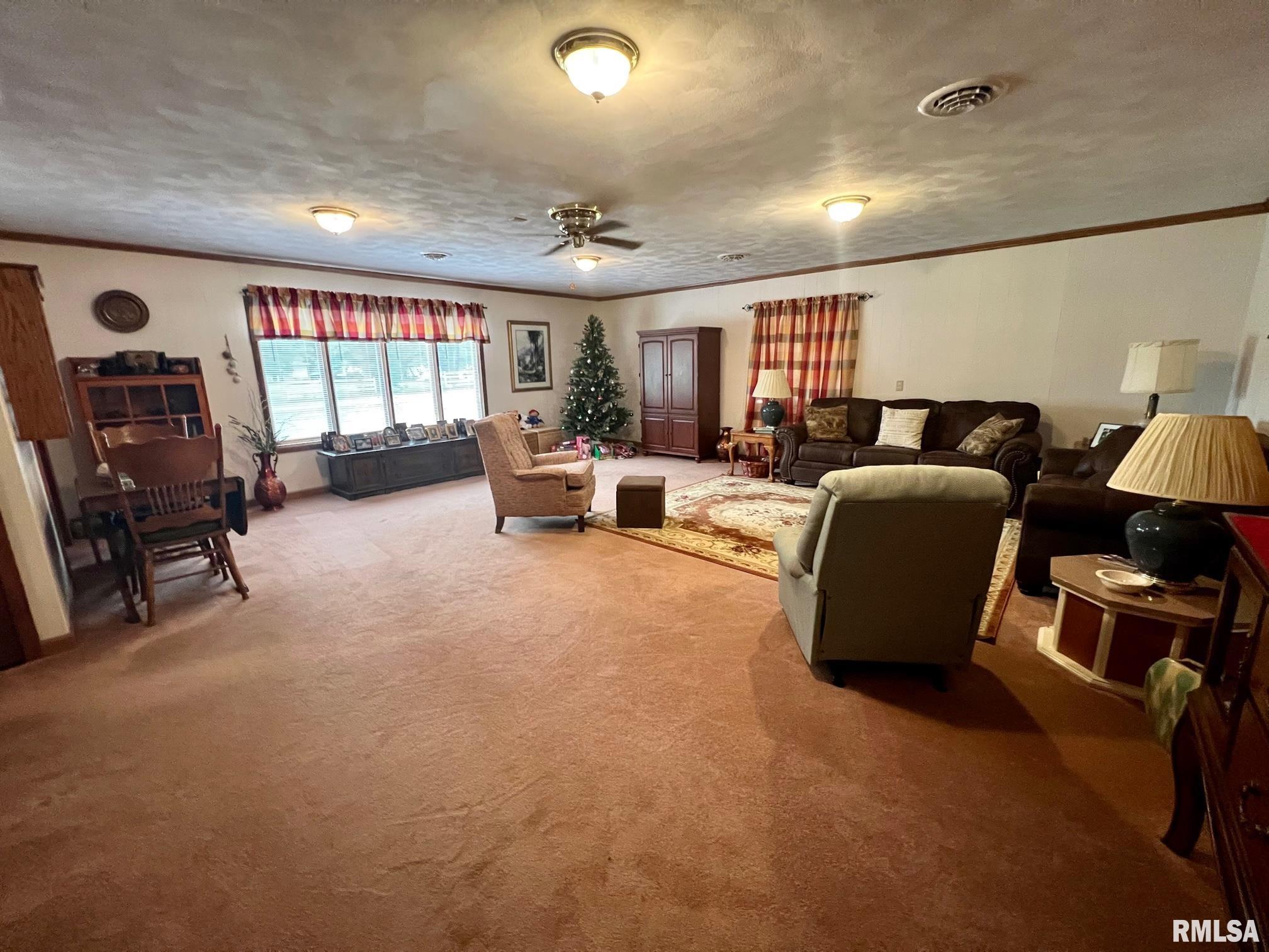 17168 River View Road Petersburg, IL 62675 - Photo 4 of 27 Gallery Image 4