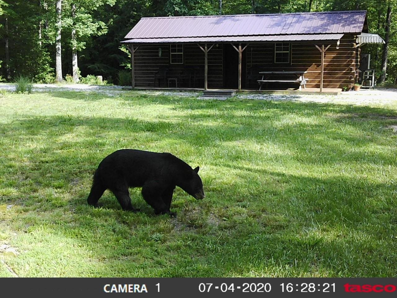 1732 Peters Branch Road Somerset, KY 42501 - Photo 1 of 17 Gallery Image 1