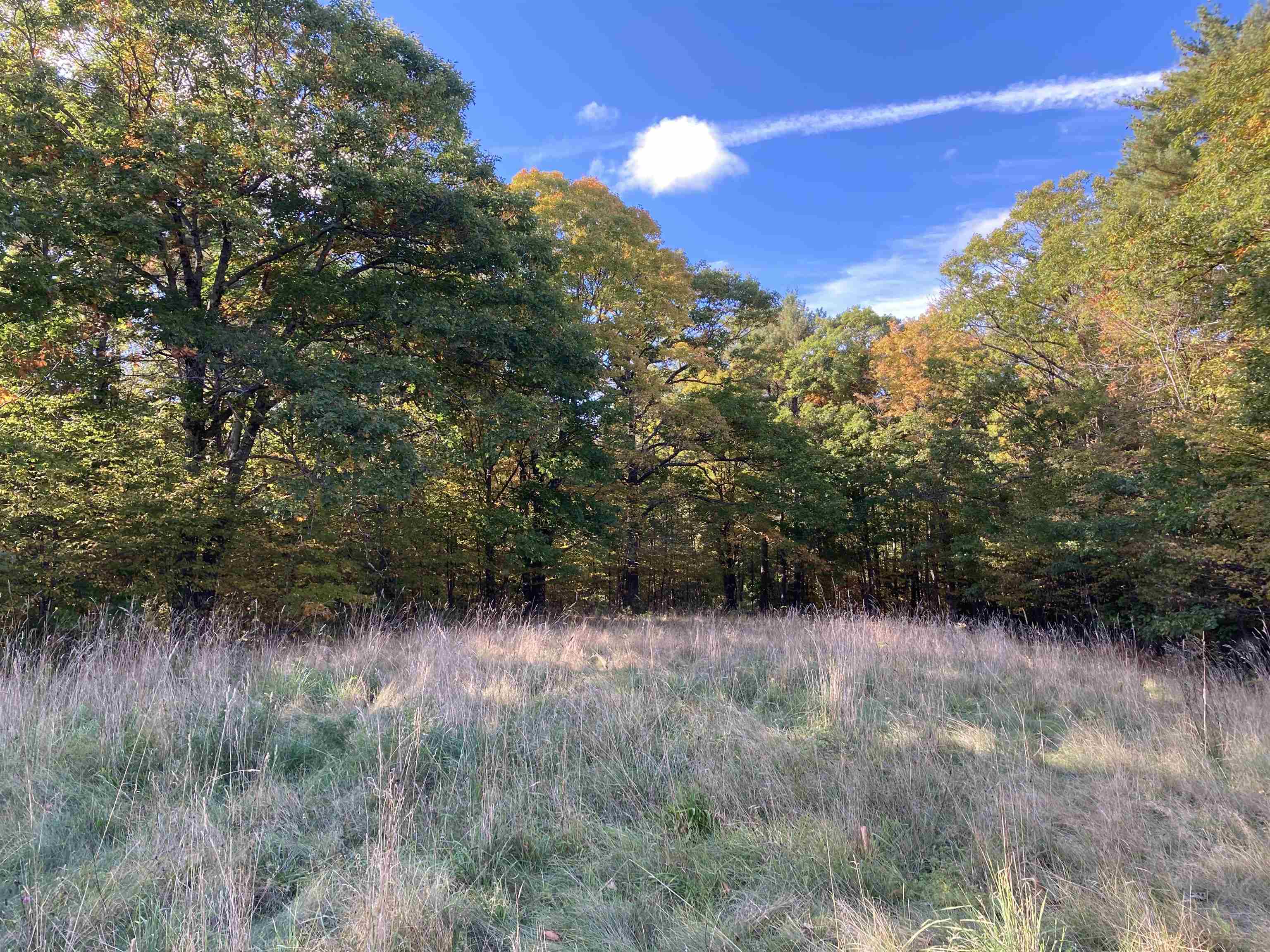 Hill Road Grafton, NH 03240 - Photo 12 of 43