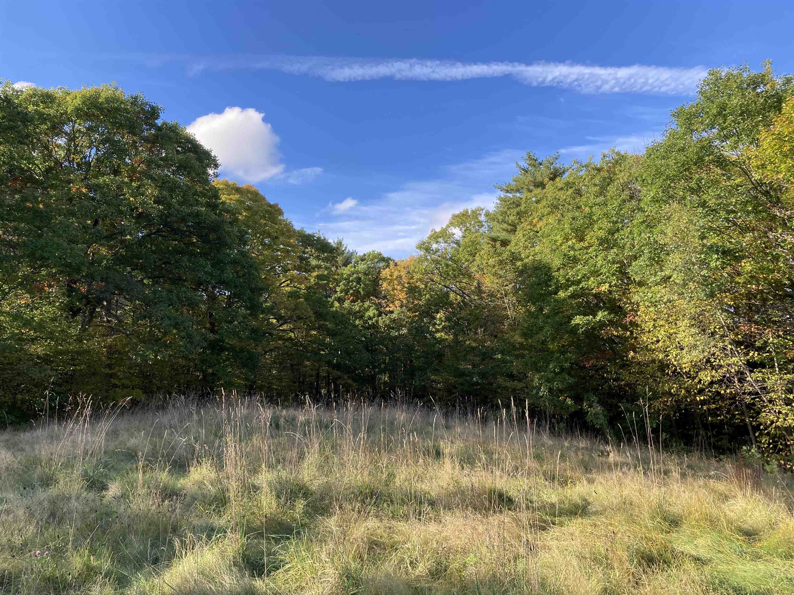 Hill Road Grafton, NH 03240 - Photo 13 of 43