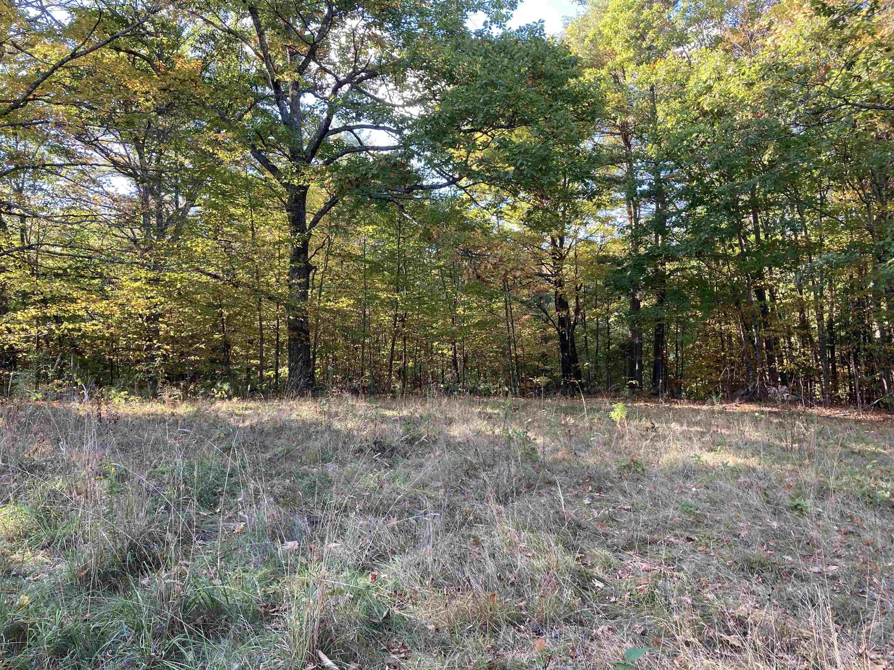 Hill Road Grafton, NH 03240 - Photo 14 of 43