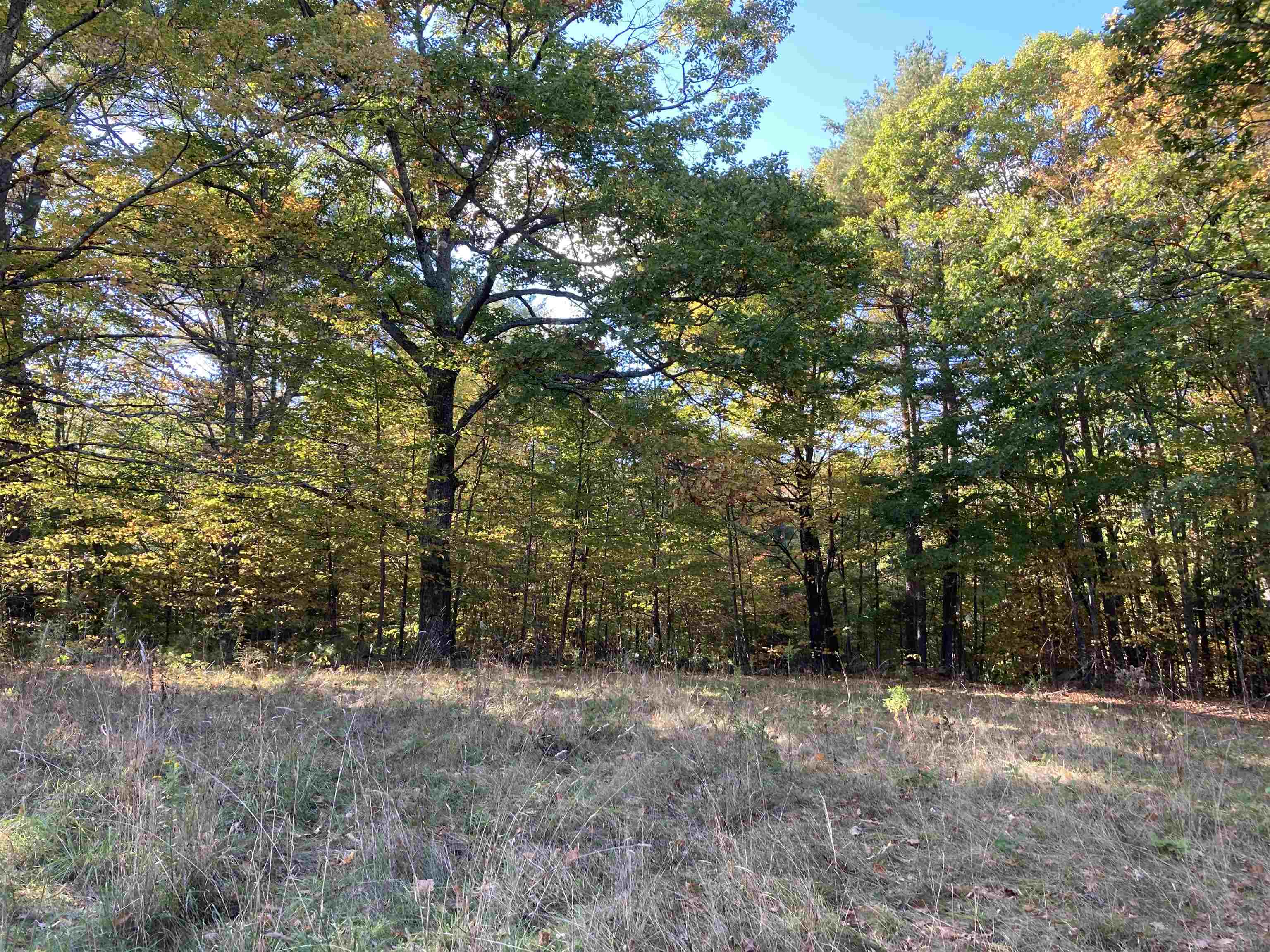 Hill Road Grafton, NH 03240 - Photo 15 of 43