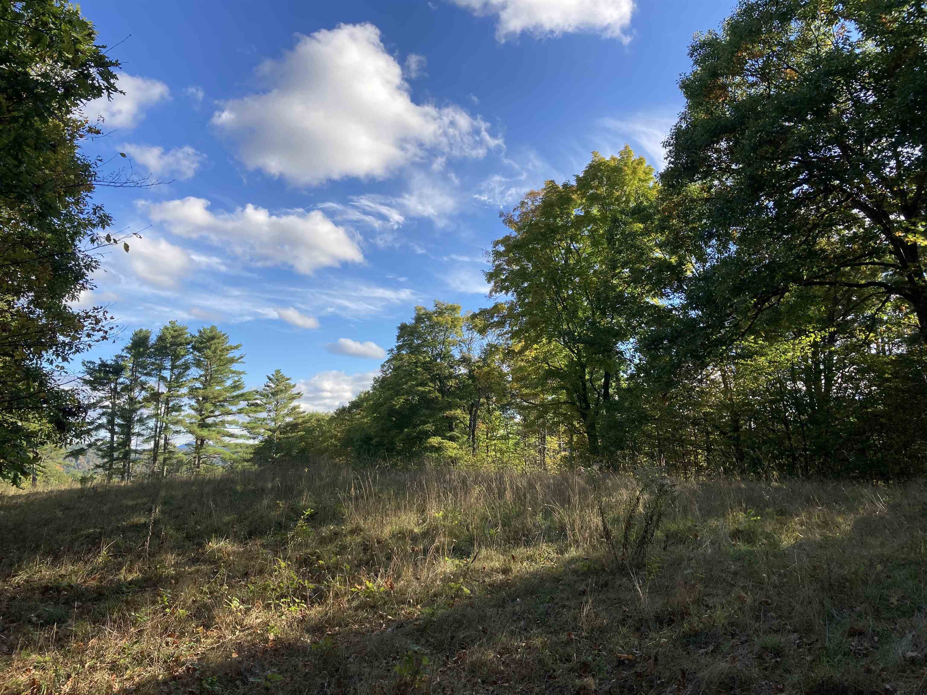 Hill Road Grafton, NH 03240 - Photo 16 of 43