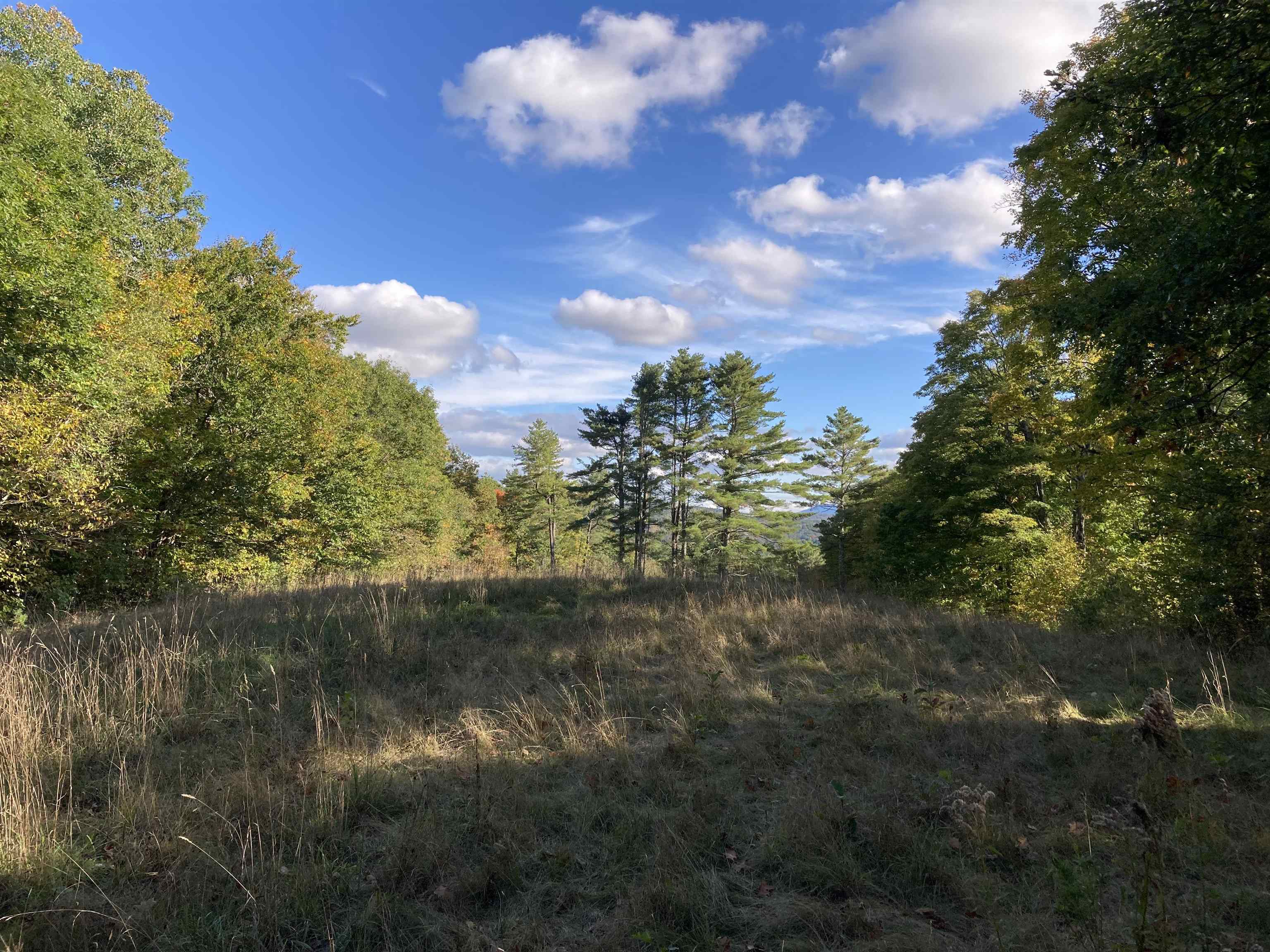 Hill Road Grafton, NH 03240 - Photo 17 of 43