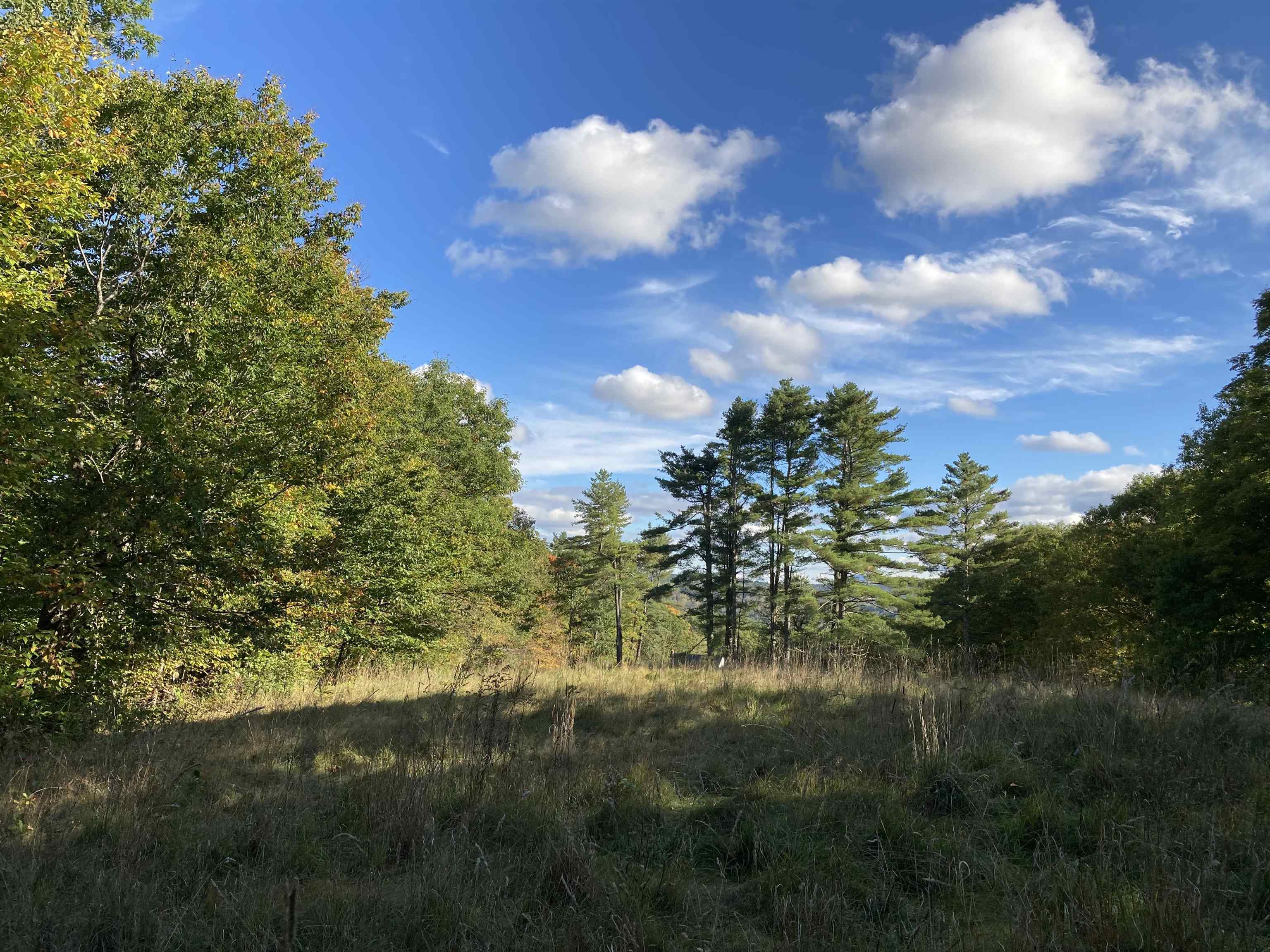 Hill Road Grafton, NH 03240 - Photo 18 of 43