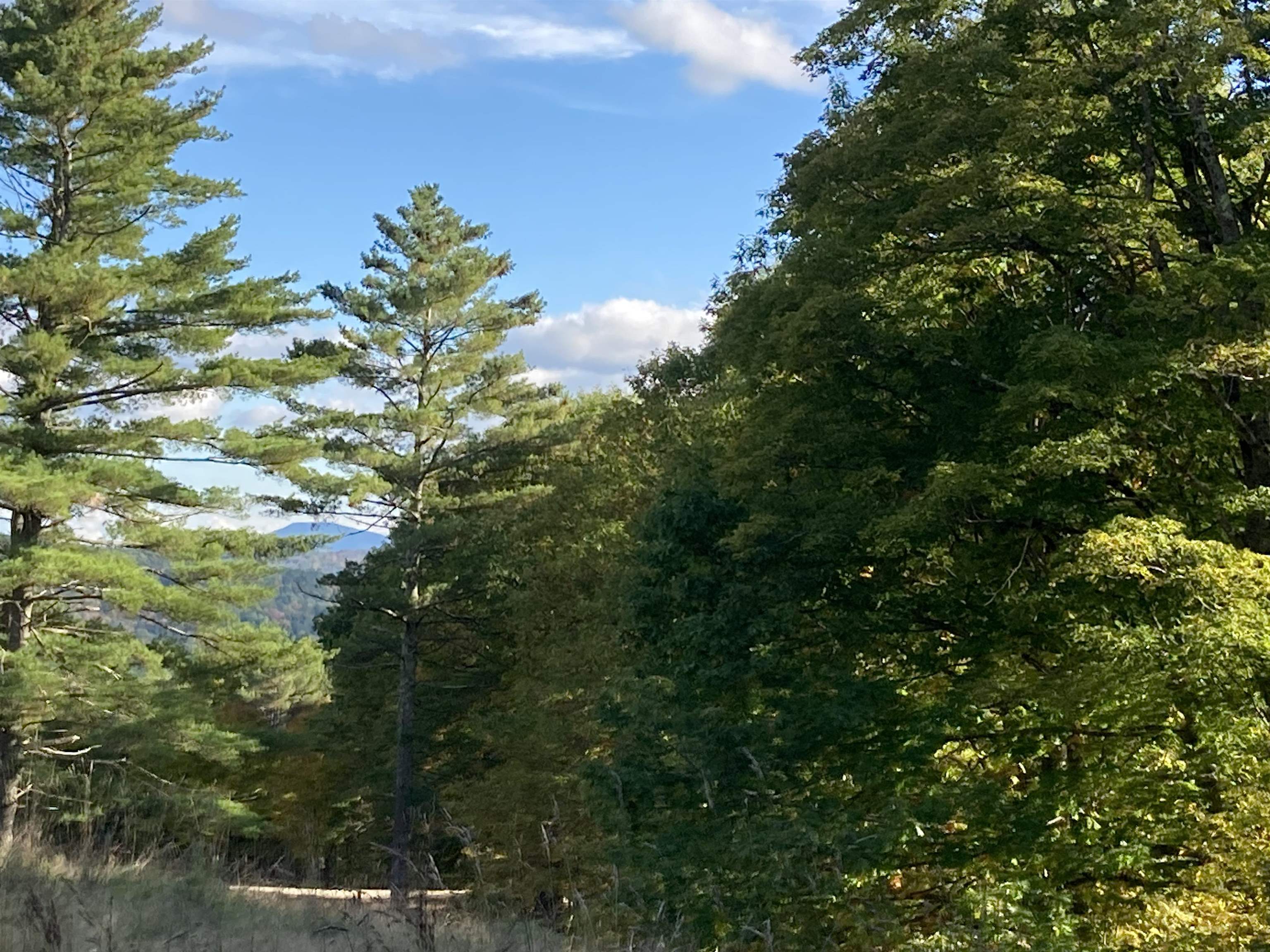 Hill Road Grafton, NH 03240 - Photo 19 of 43