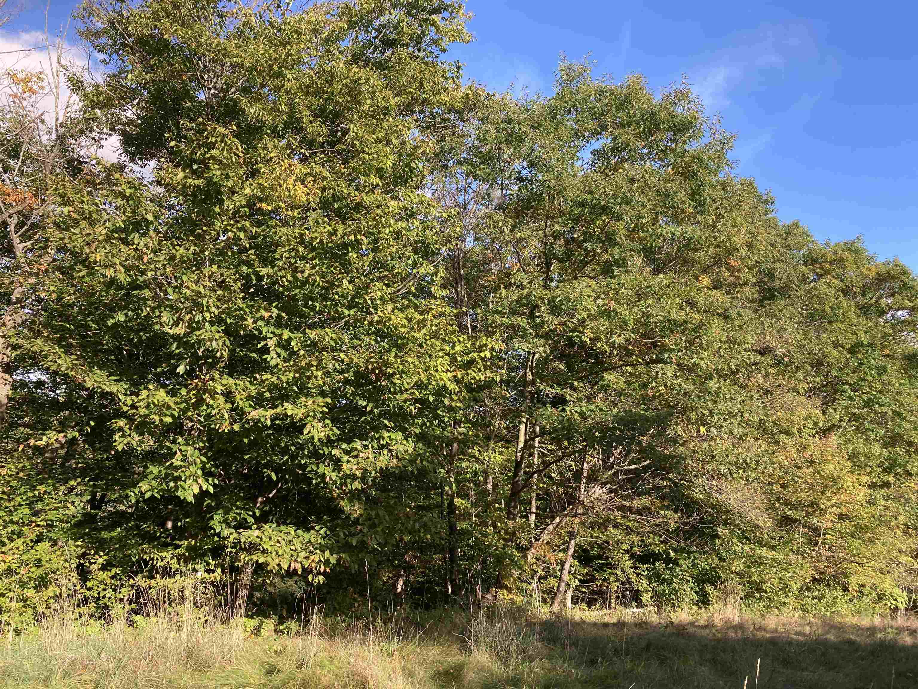 Hill Road Grafton, NH 03240 - Photo 20 of 43