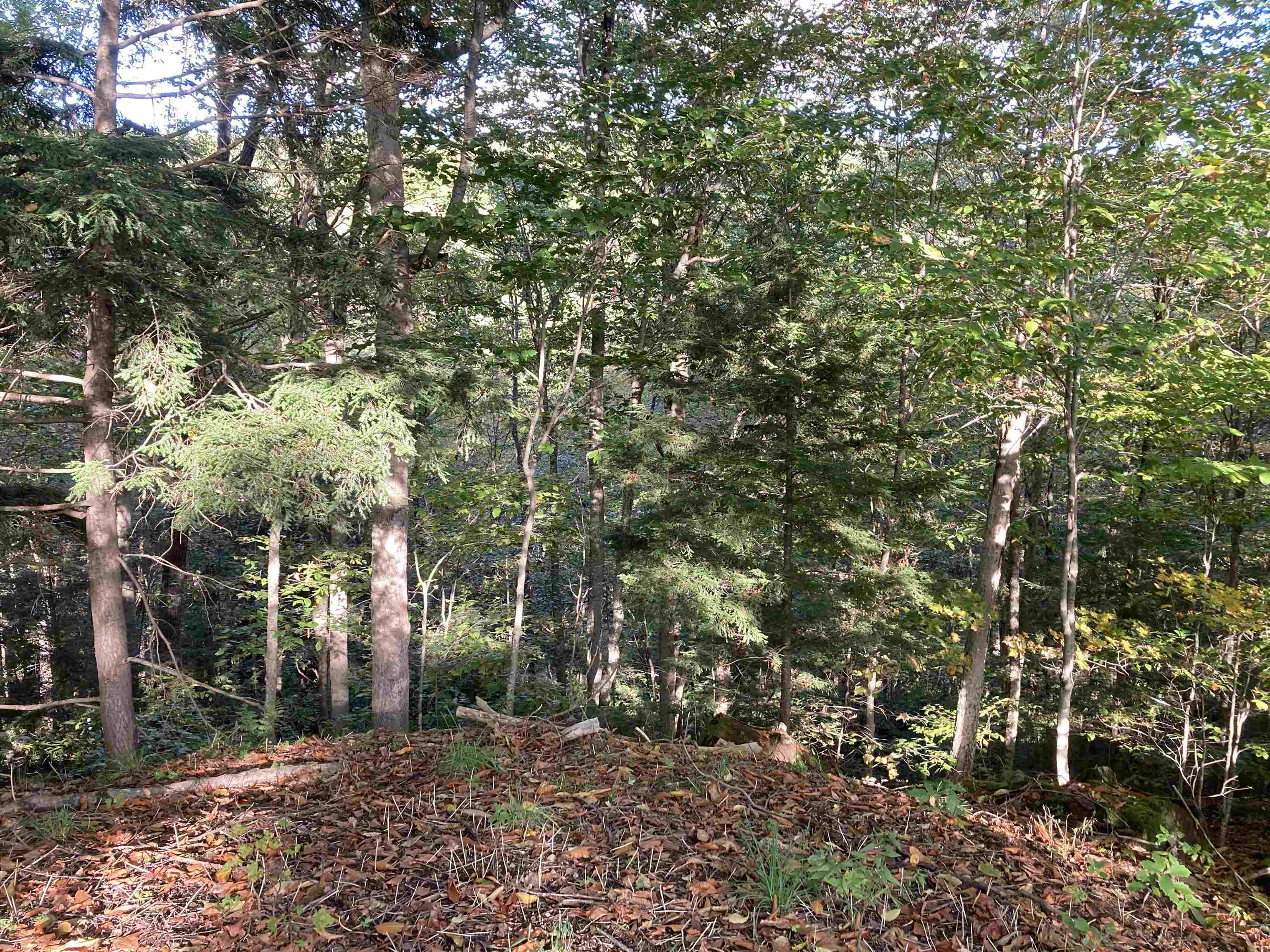 Hill Road Grafton, NH 03240 - Photo 21 of 43