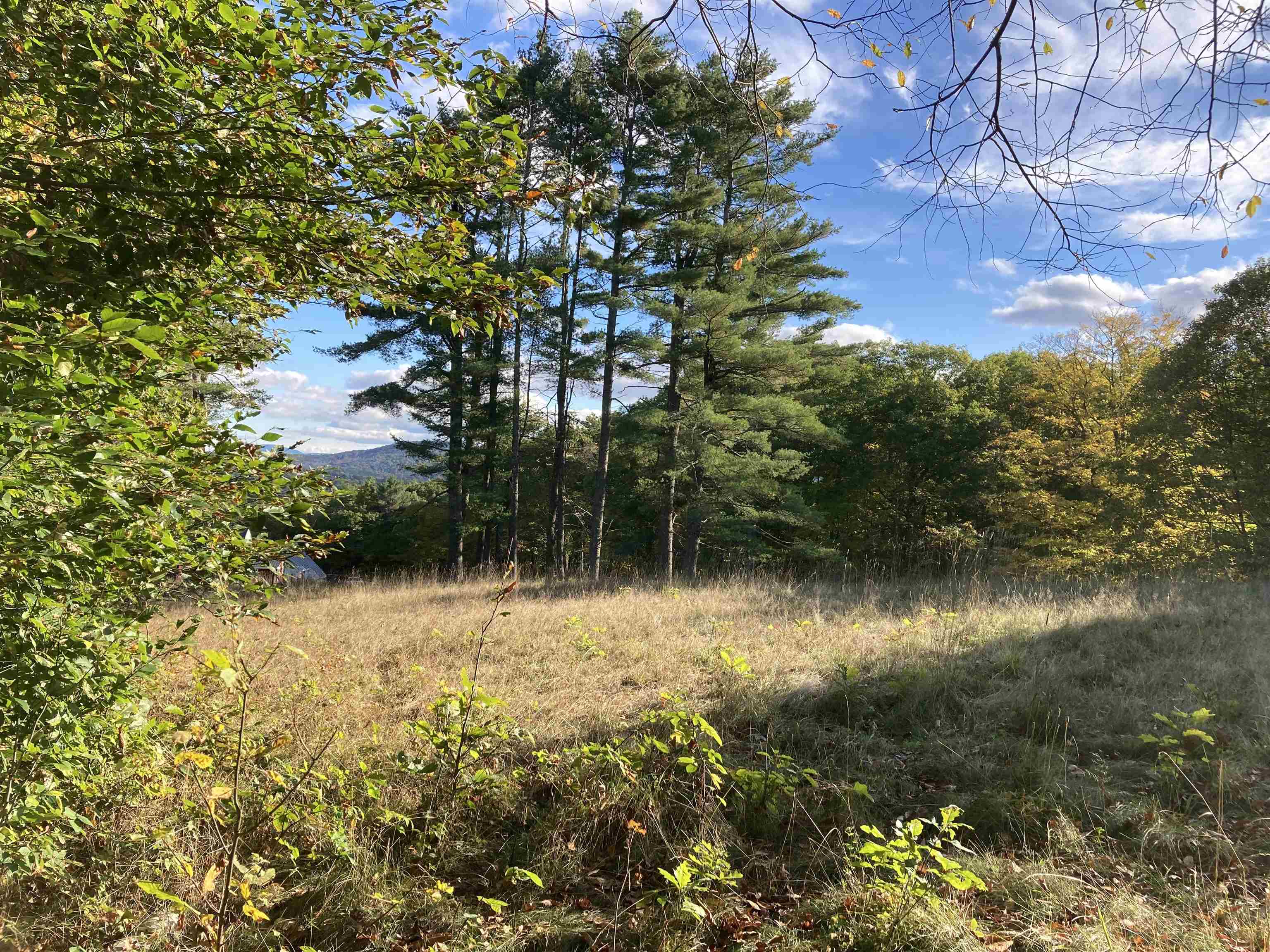 Hill Road Grafton, NH 03240 - Photo 22 of 43