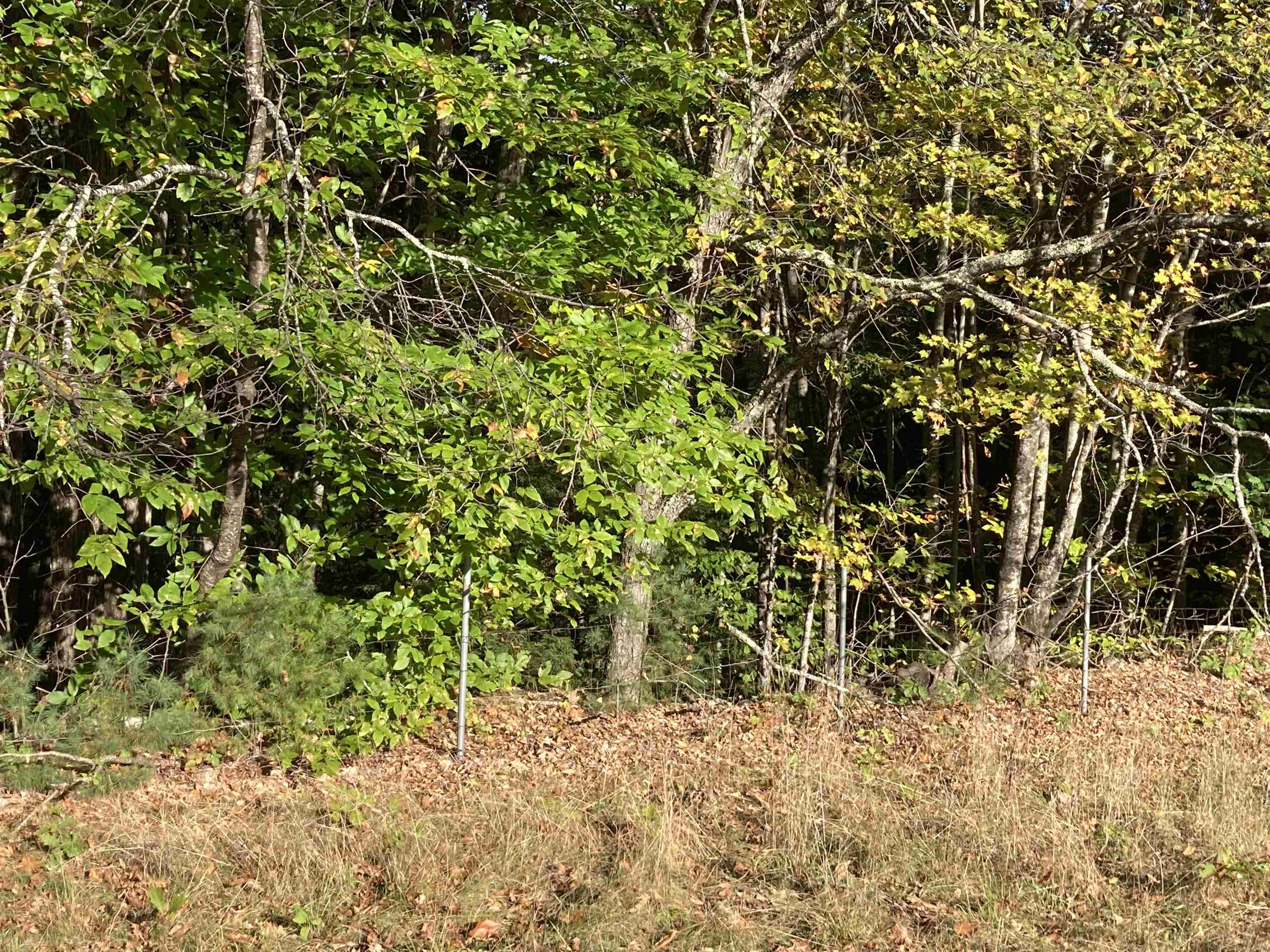 Hill Road Grafton, NH 03240 - Photo 23 of 43