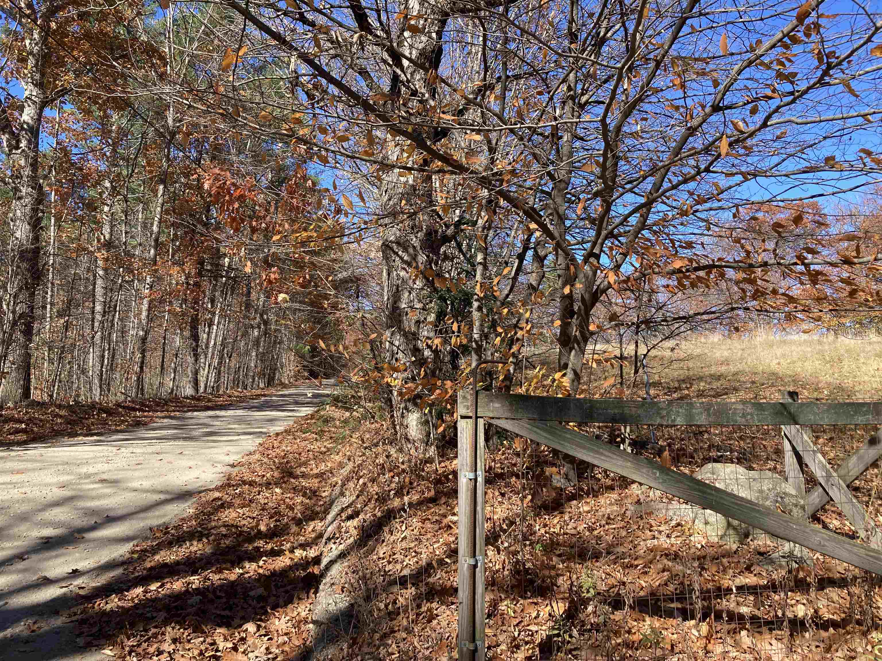 Hill Road Grafton, NH 03240 - Photo 26 of 43