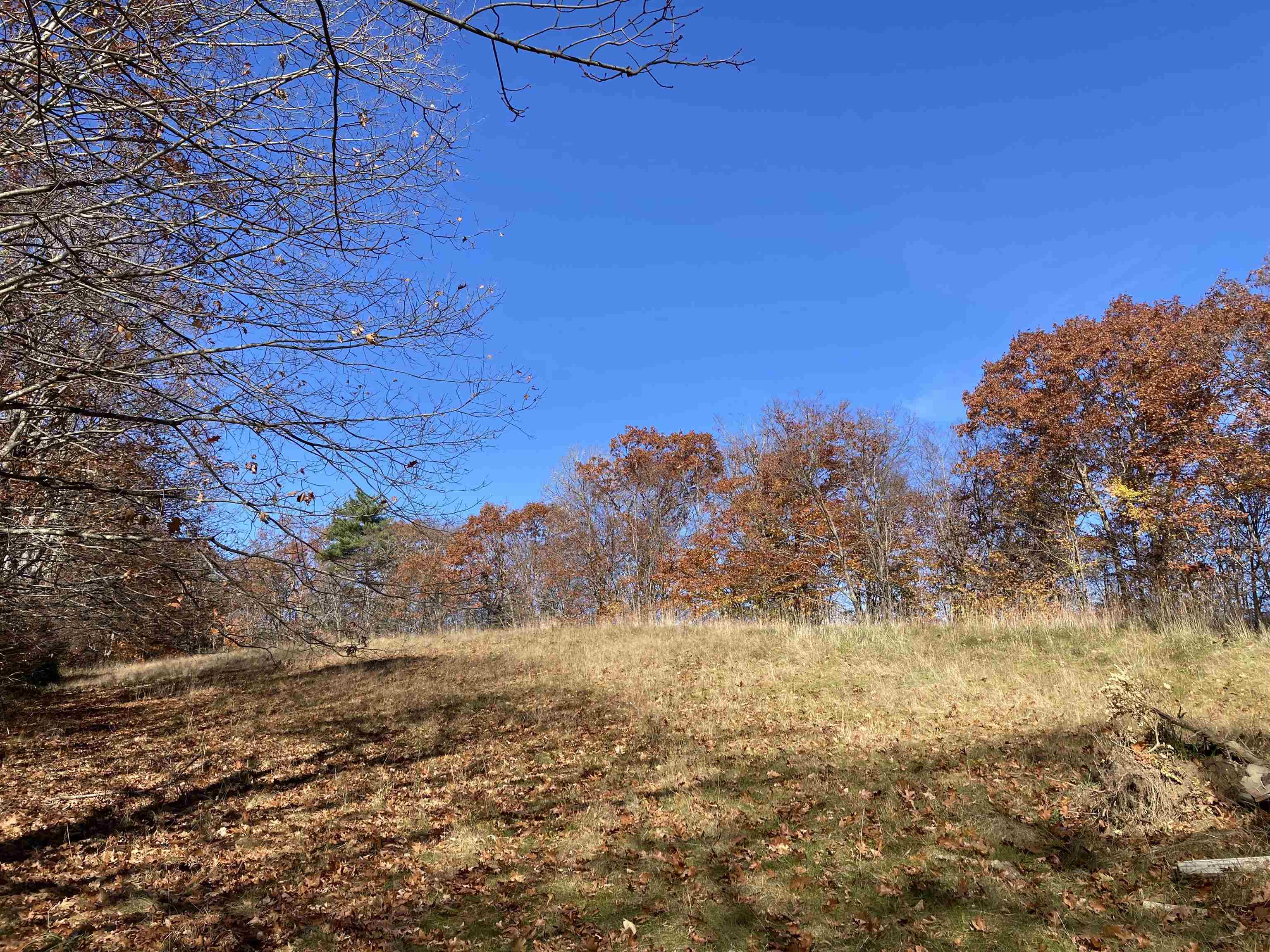 Hill Road Grafton, NH 03240 - Photo 27 of 43