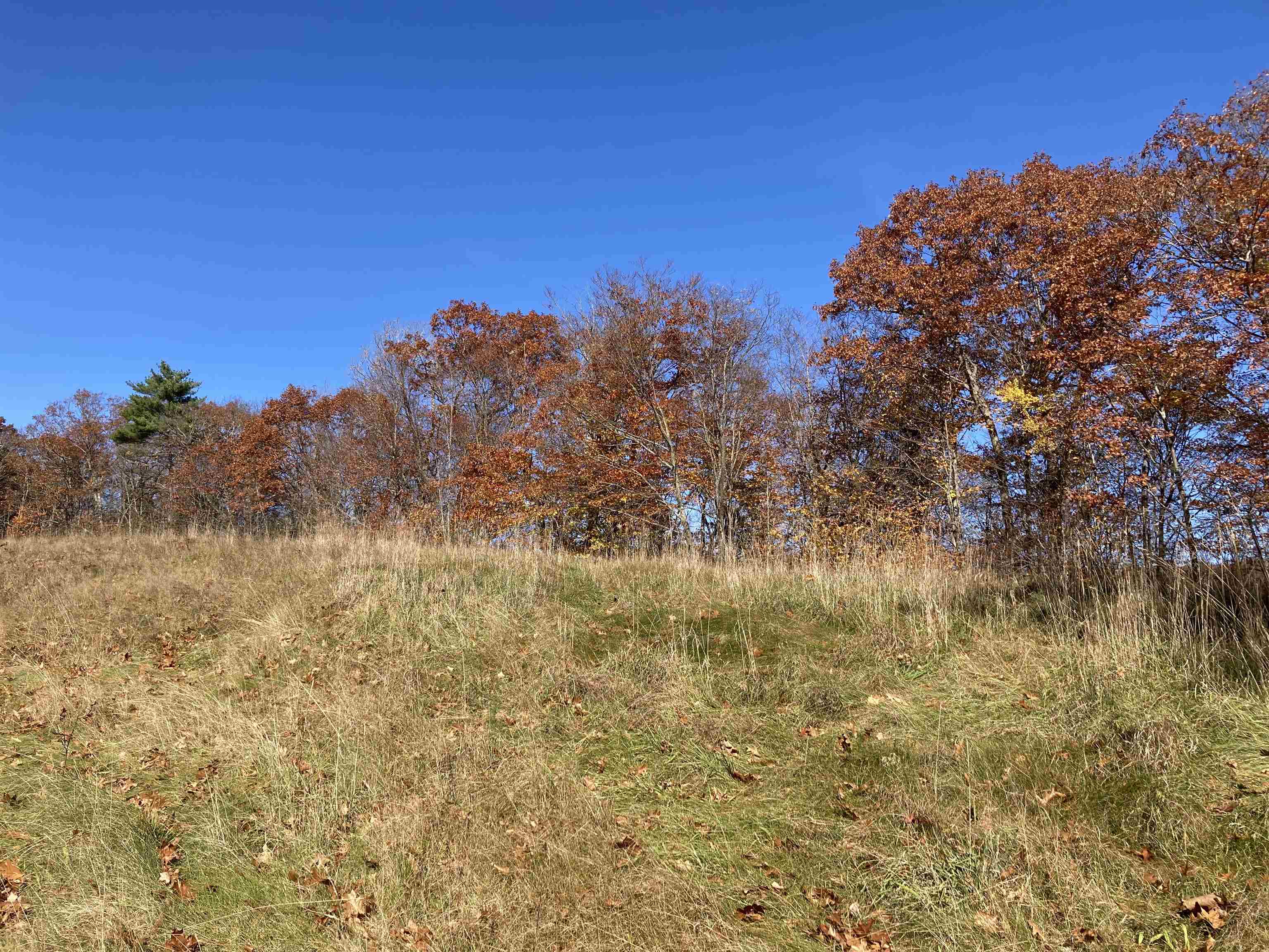 Hill Road Grafton, NH 03240 - Photo 28 of 43