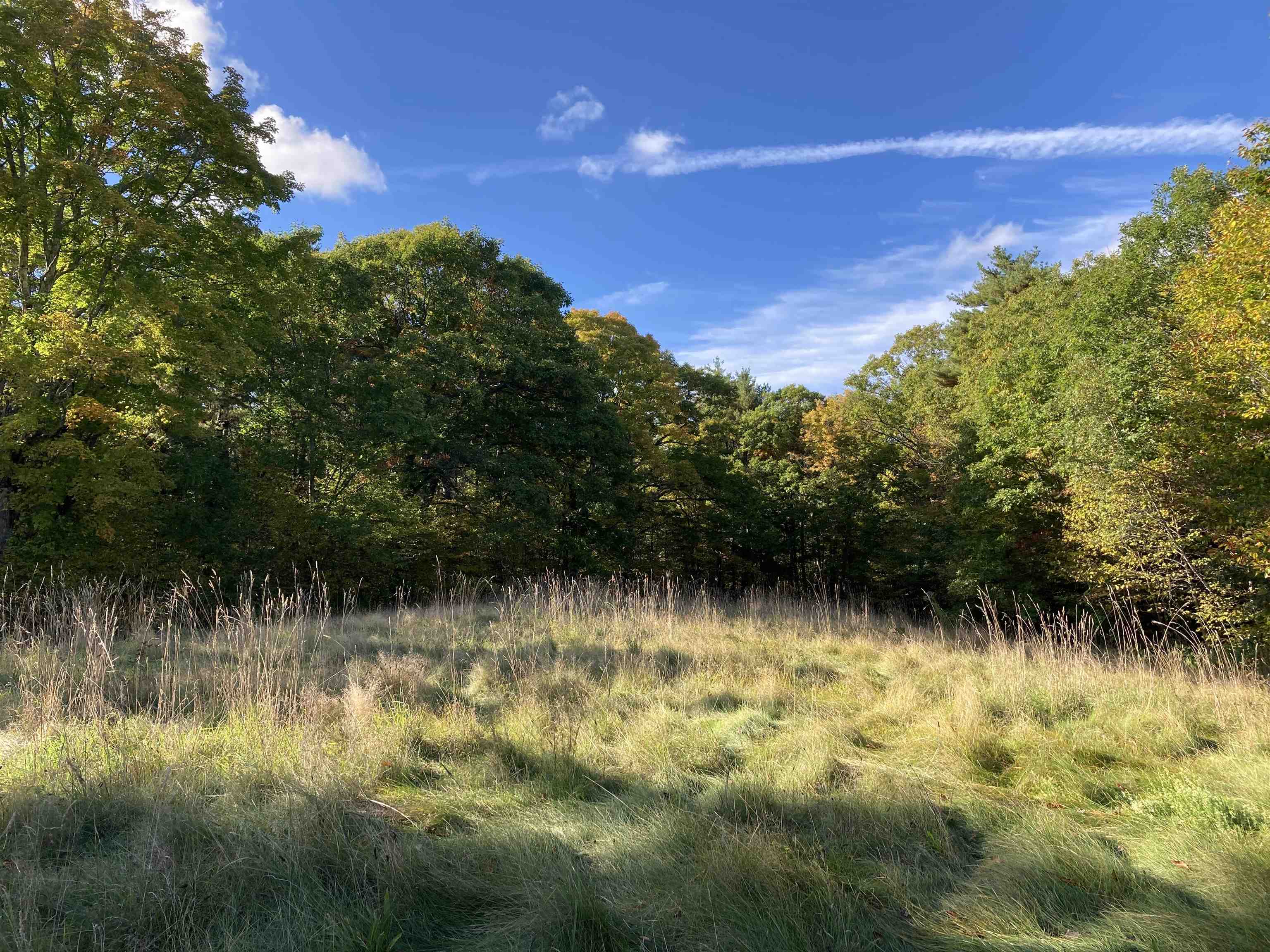 Hill Road Grafton, NH 03240 - Photo 3 of 43