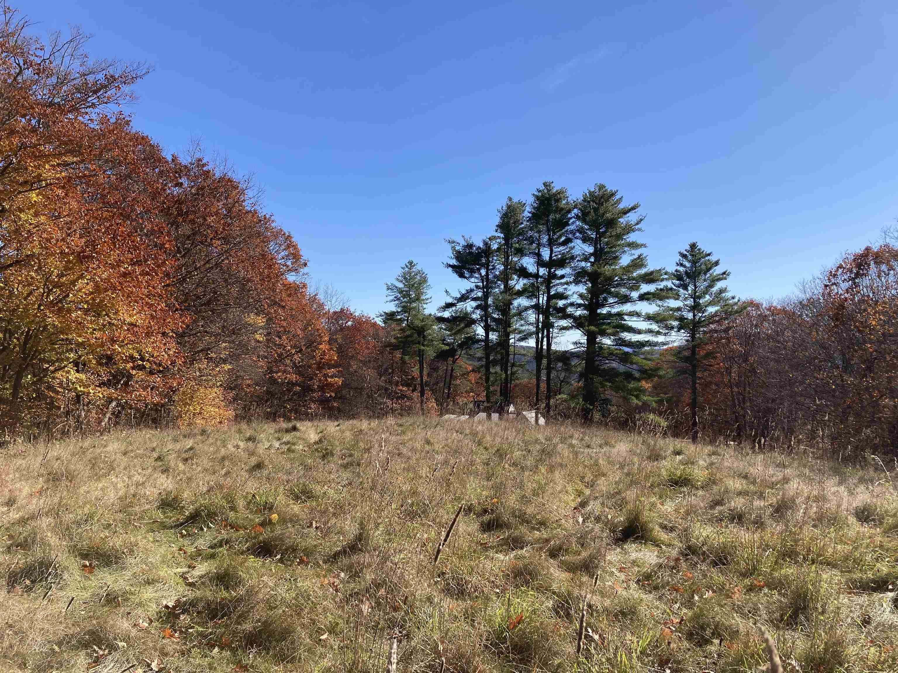 Hill Road Grafton, NH 03240 - Photo 33 of 43