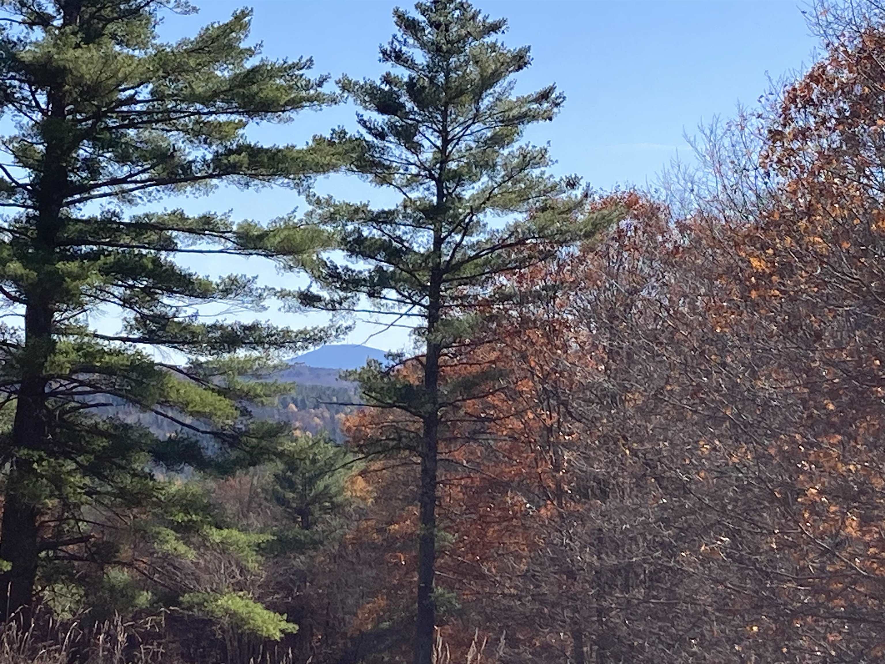 Hill Road Grafton, NH 03240 - Photo 34 of 43