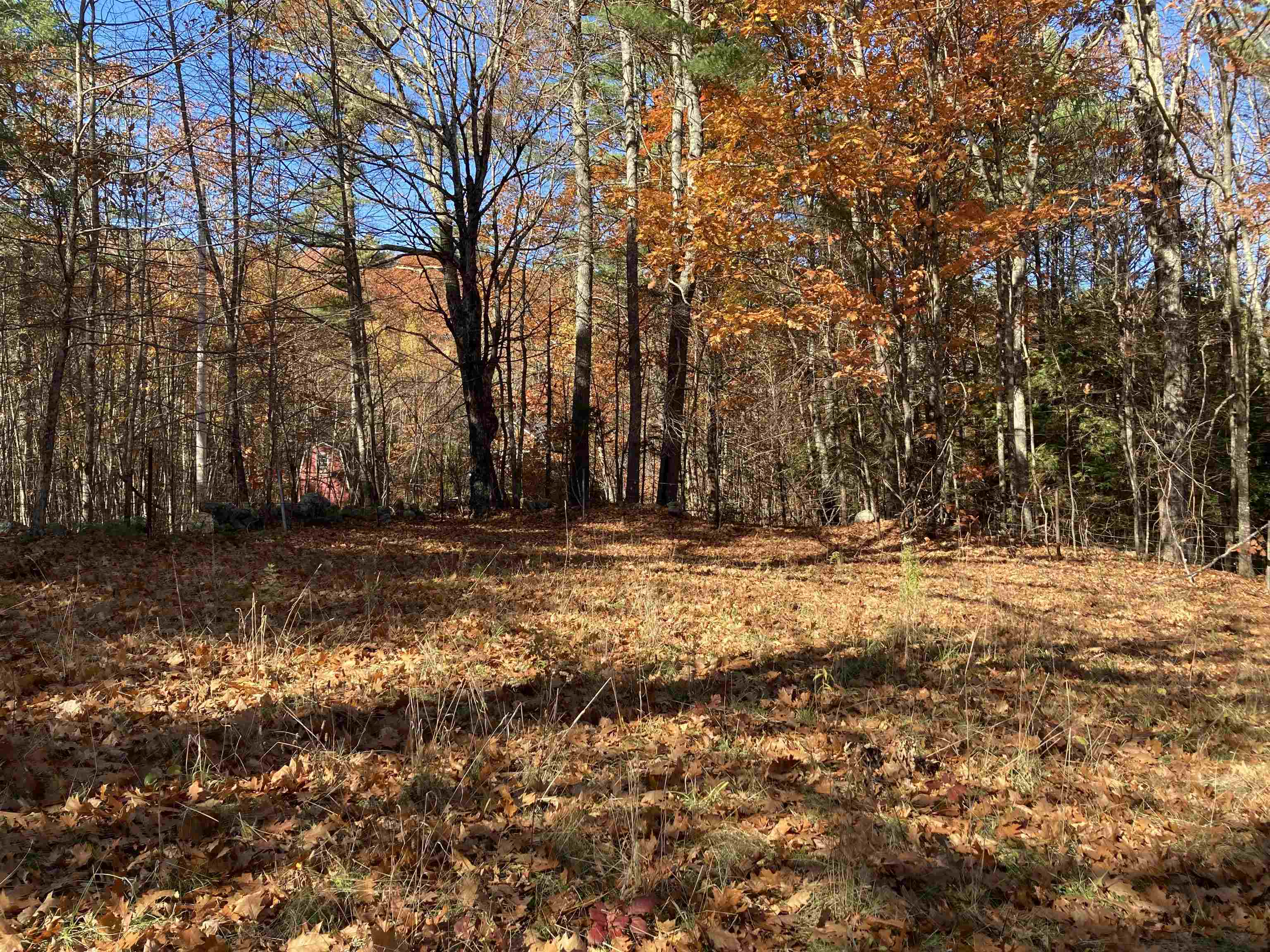 Hill Road Grafton, NH 03240 - Photo 37 of 43