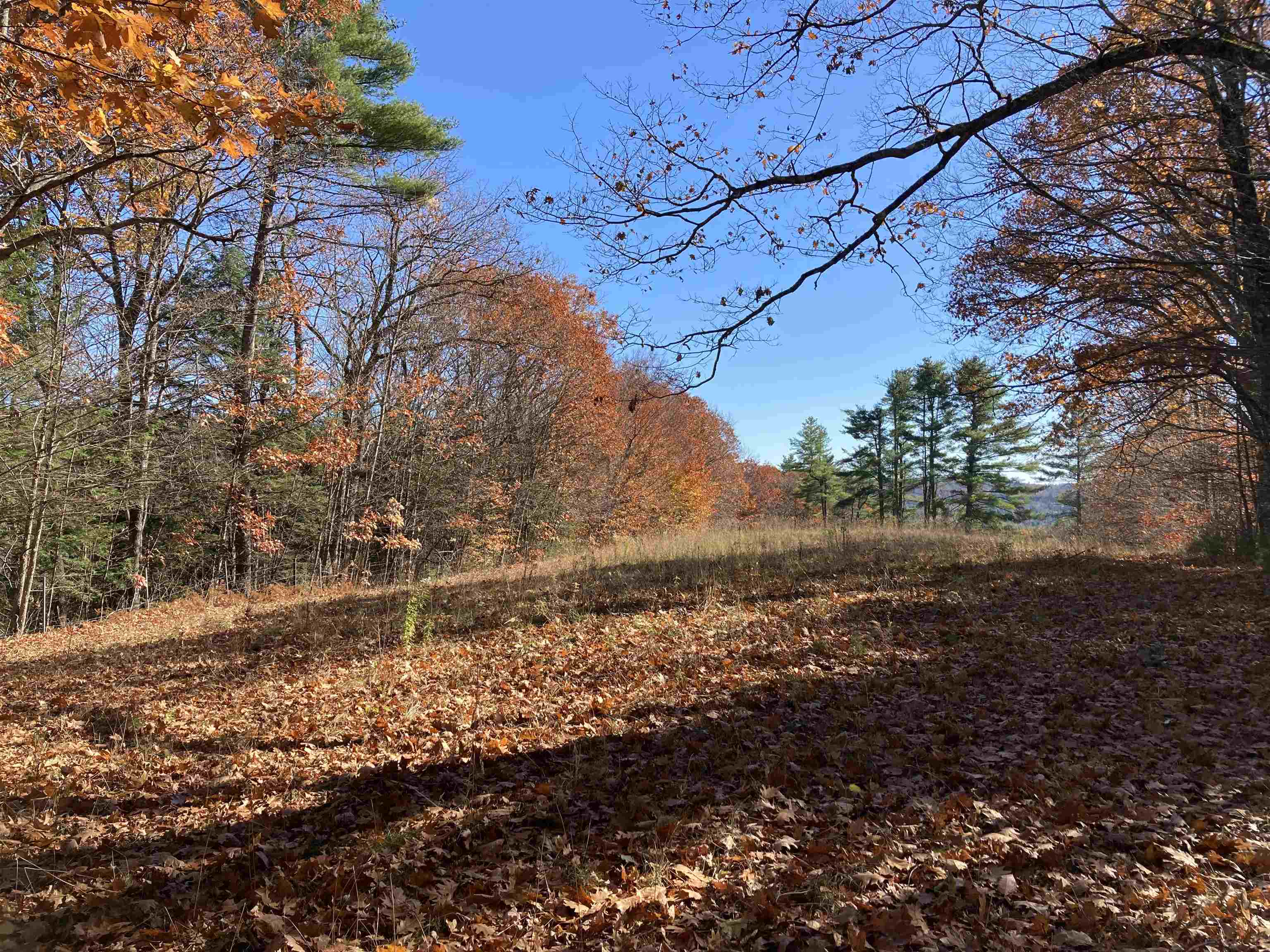 Hill Road Grafton, NH 03240 - Photo 38 of 43