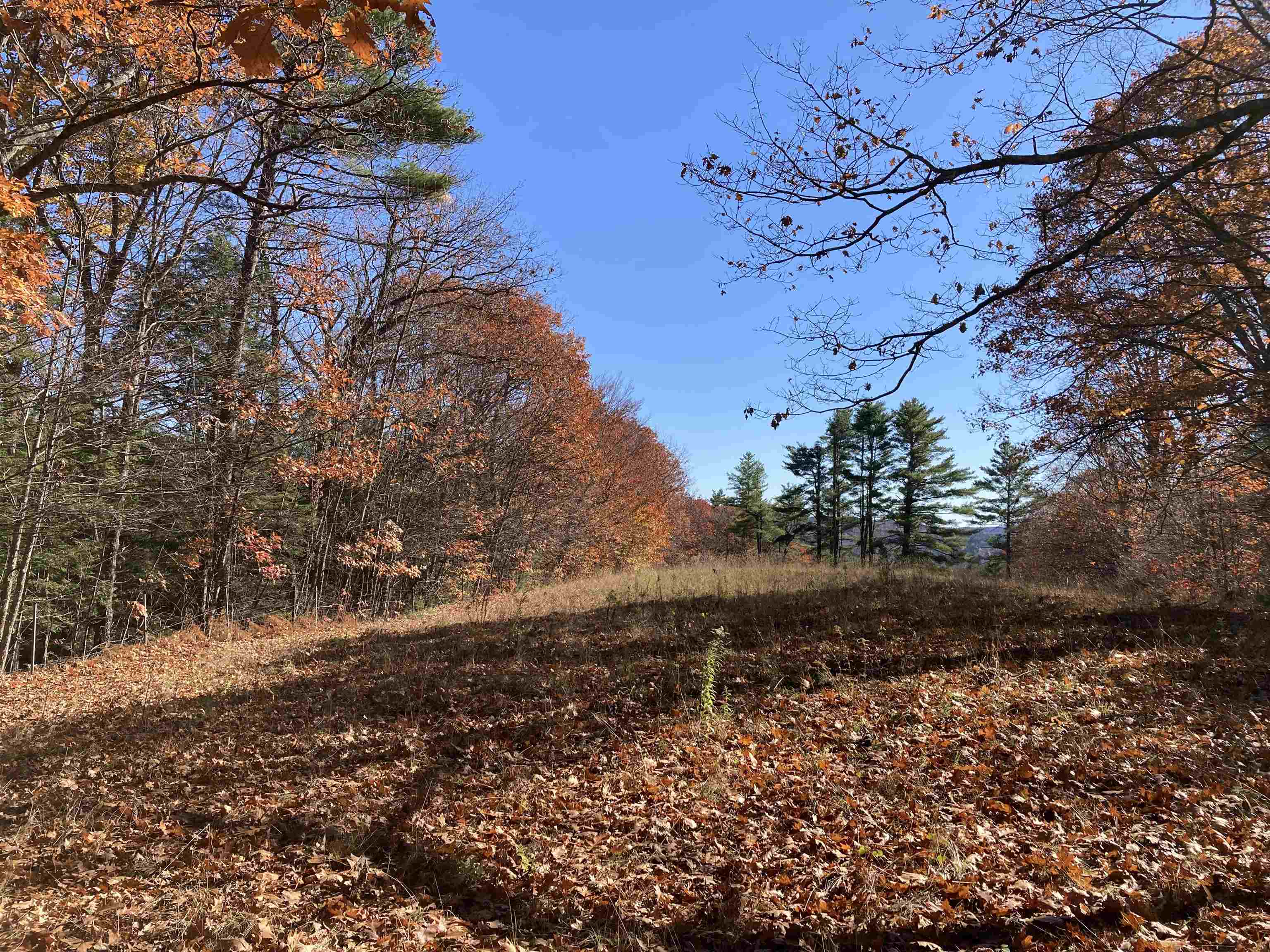 Hill Road Grafton, NH 03240 - Photo 39 of 43