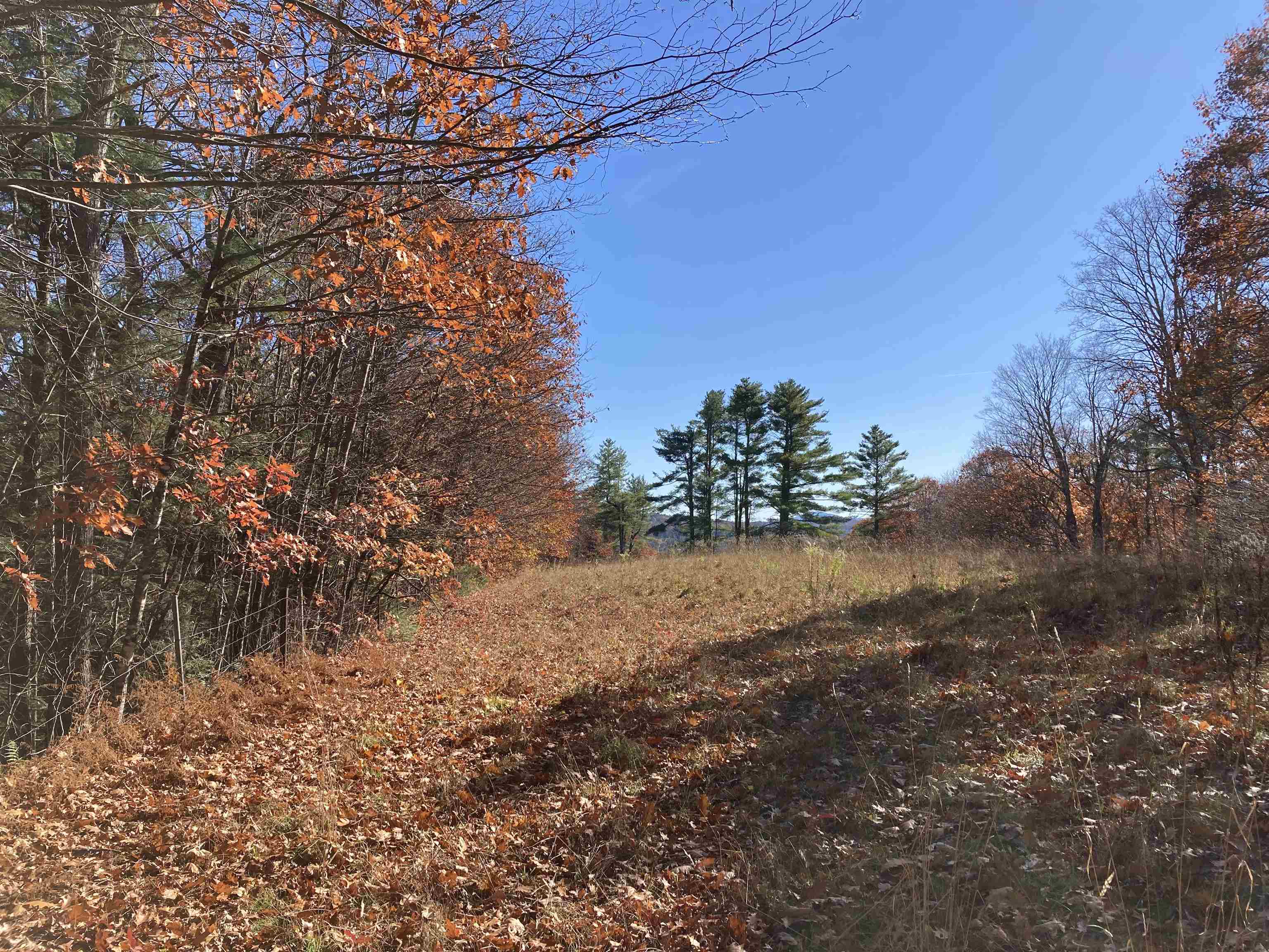 Hill Road Grafton, NH 03240 - Photo 40 of 43