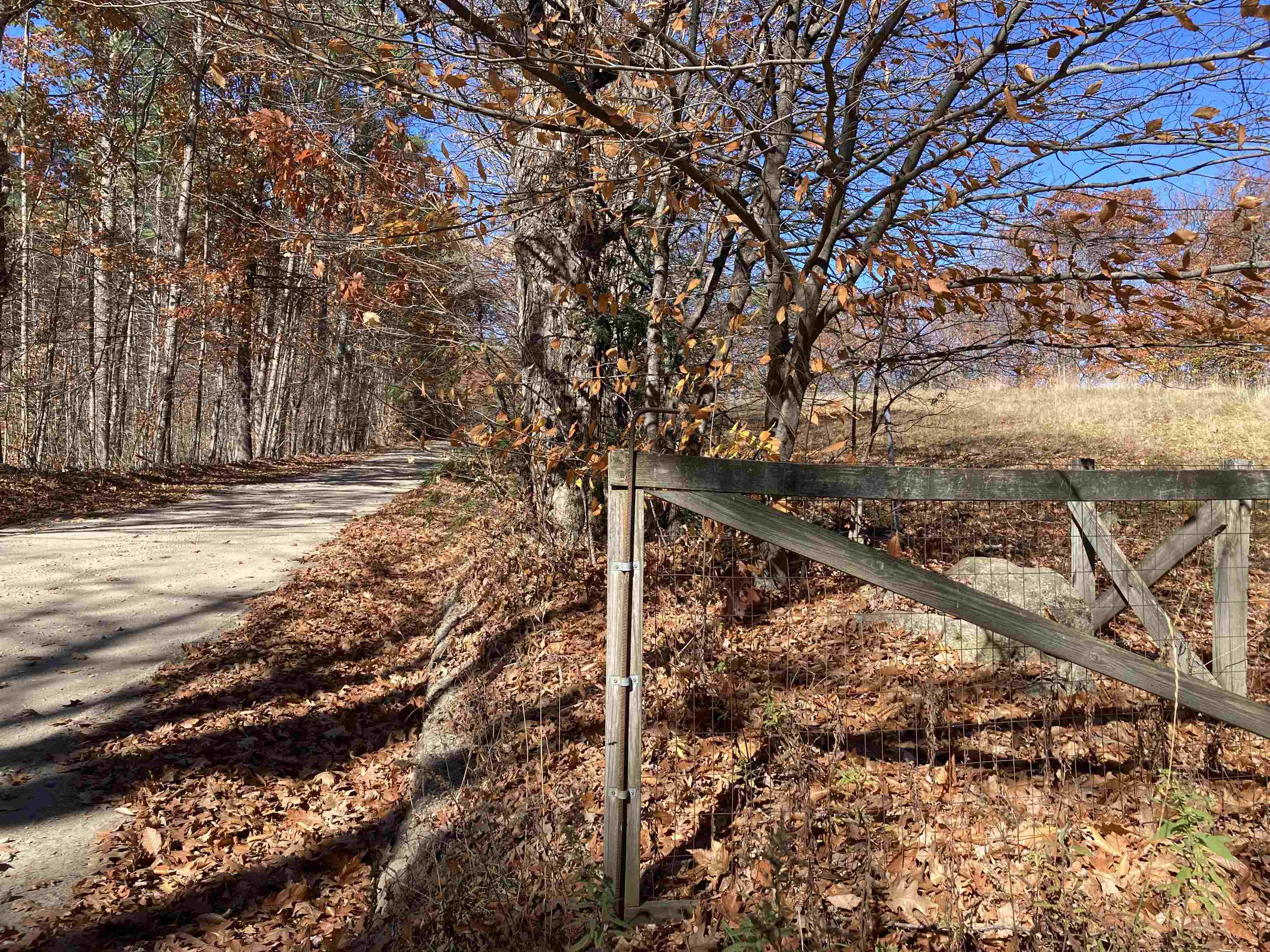 Hill Road Grafton, NH 03240 - Photo 4 of 43