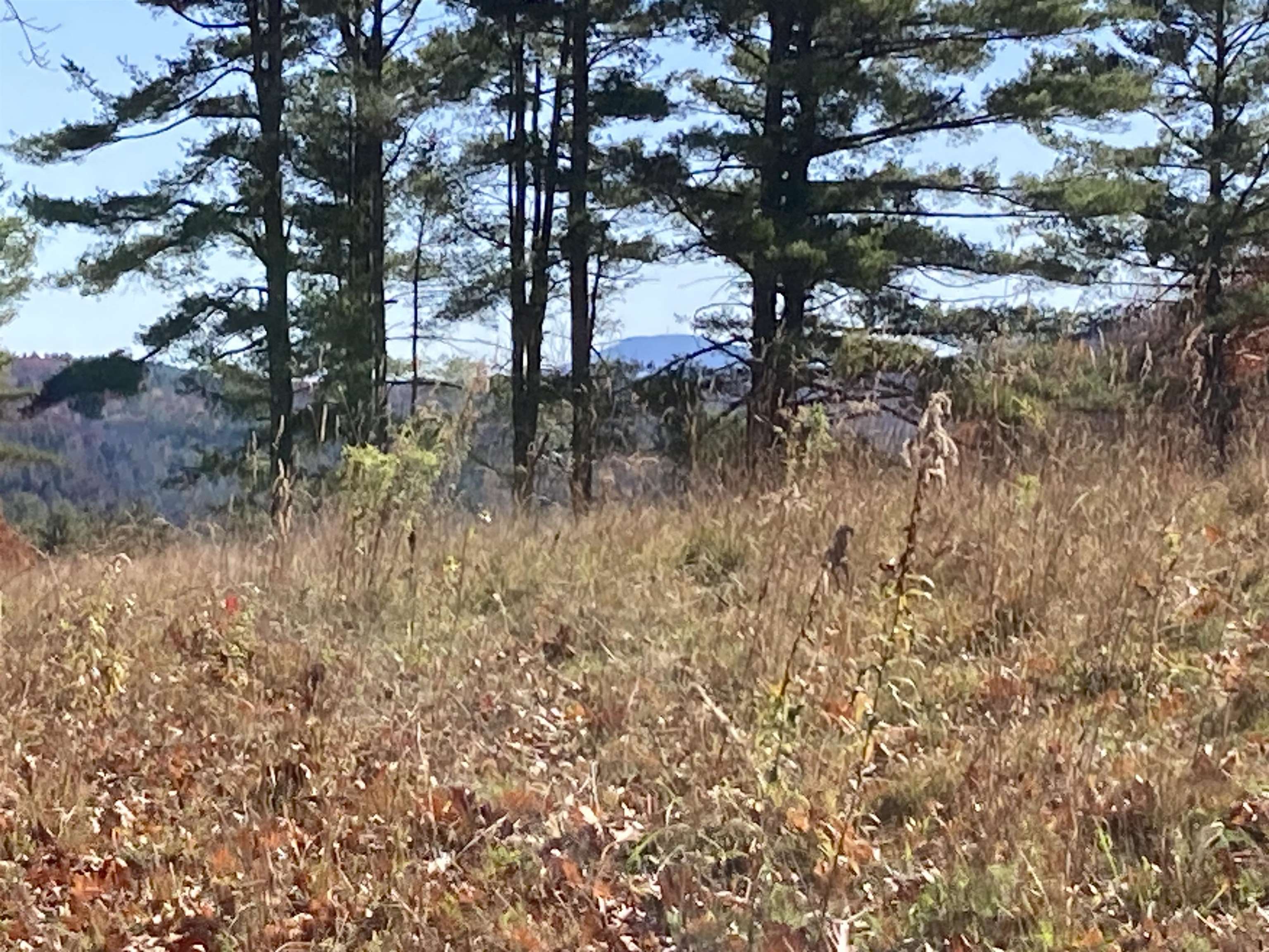 Hill Road Grafton, NH 03240 - Photo 41 of 43