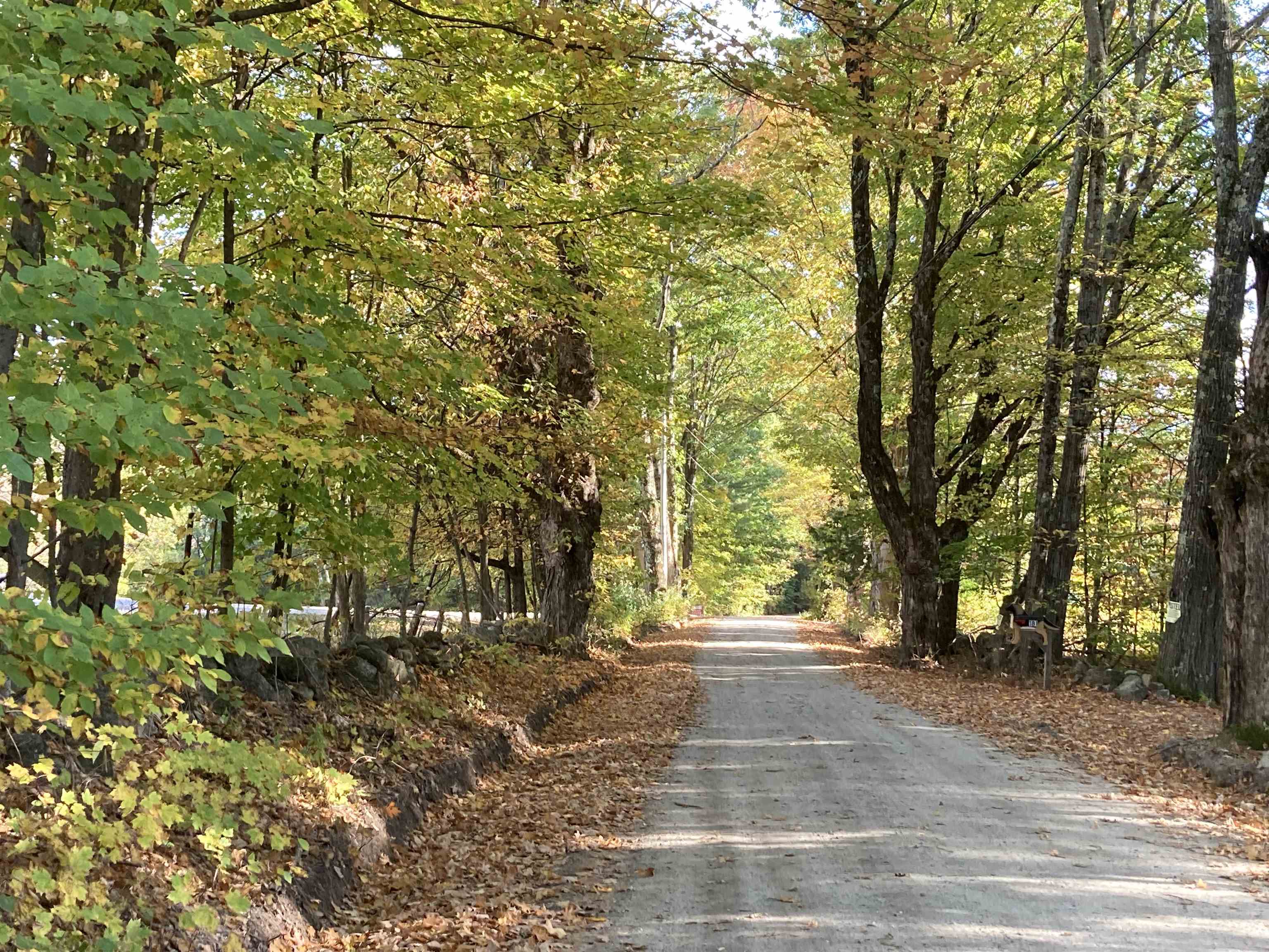 Hill Road Grafton, NH 03240 - Photo 5 of 43