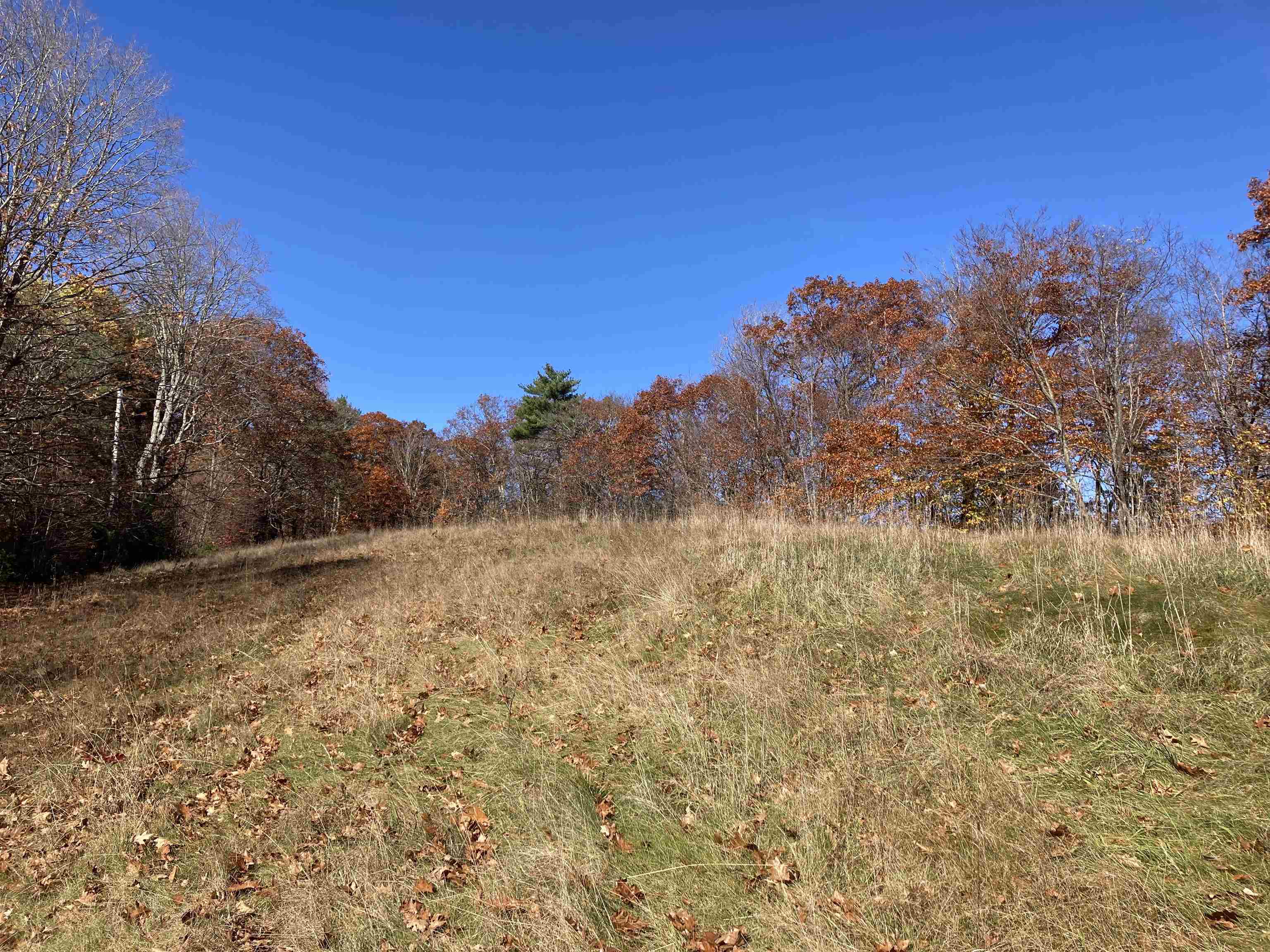 Hill Road Grafton, NH 03240 - Photo 6 of 43