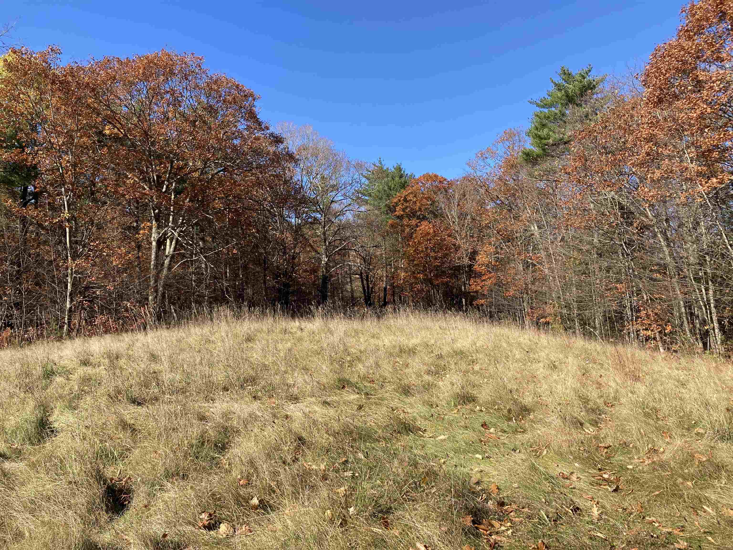 Hill Road Grafton, NH 03240 - Photo 7 of 43