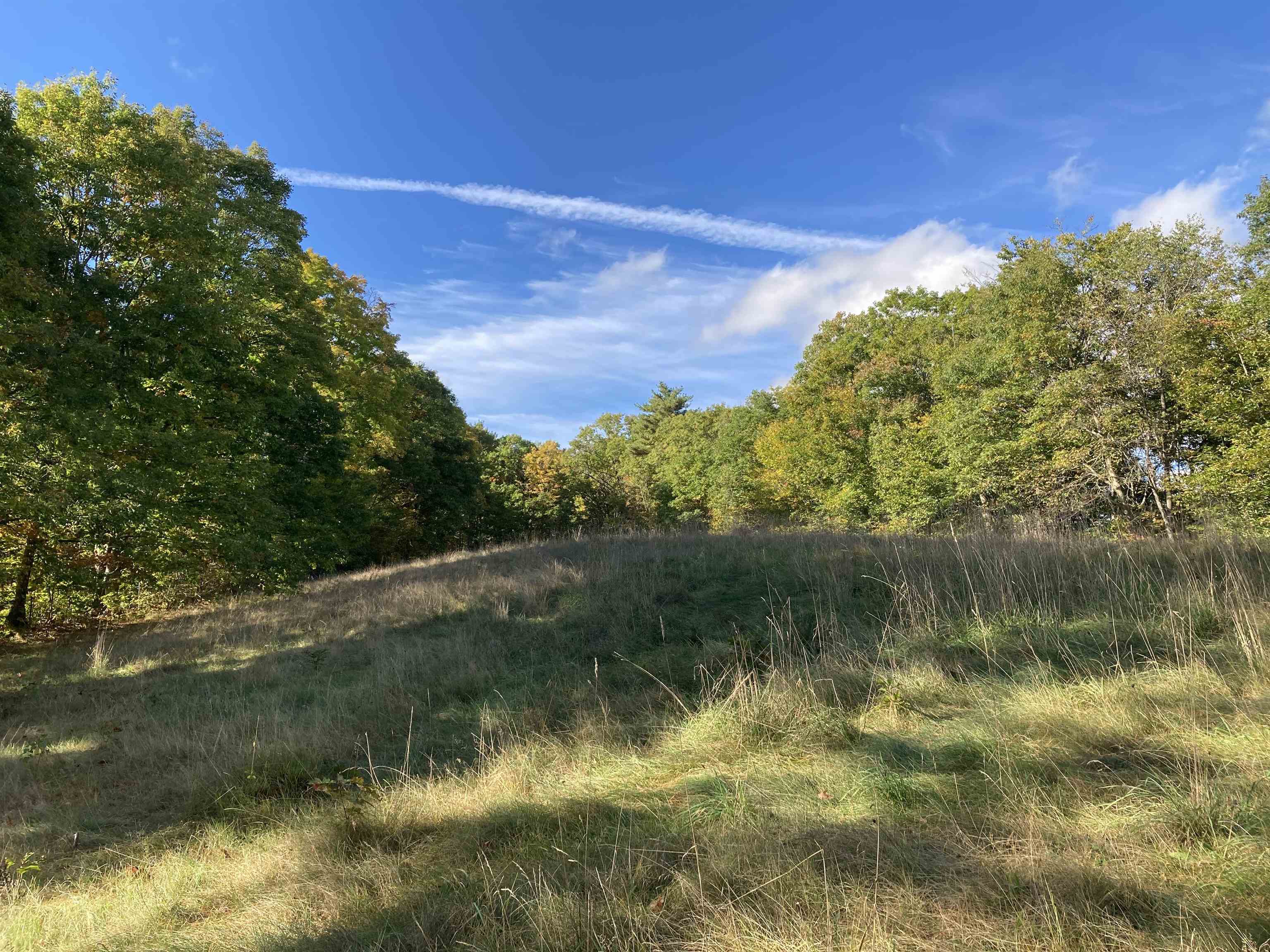 Hill Road Grafton, NH 03240 - Photo 8 of 43