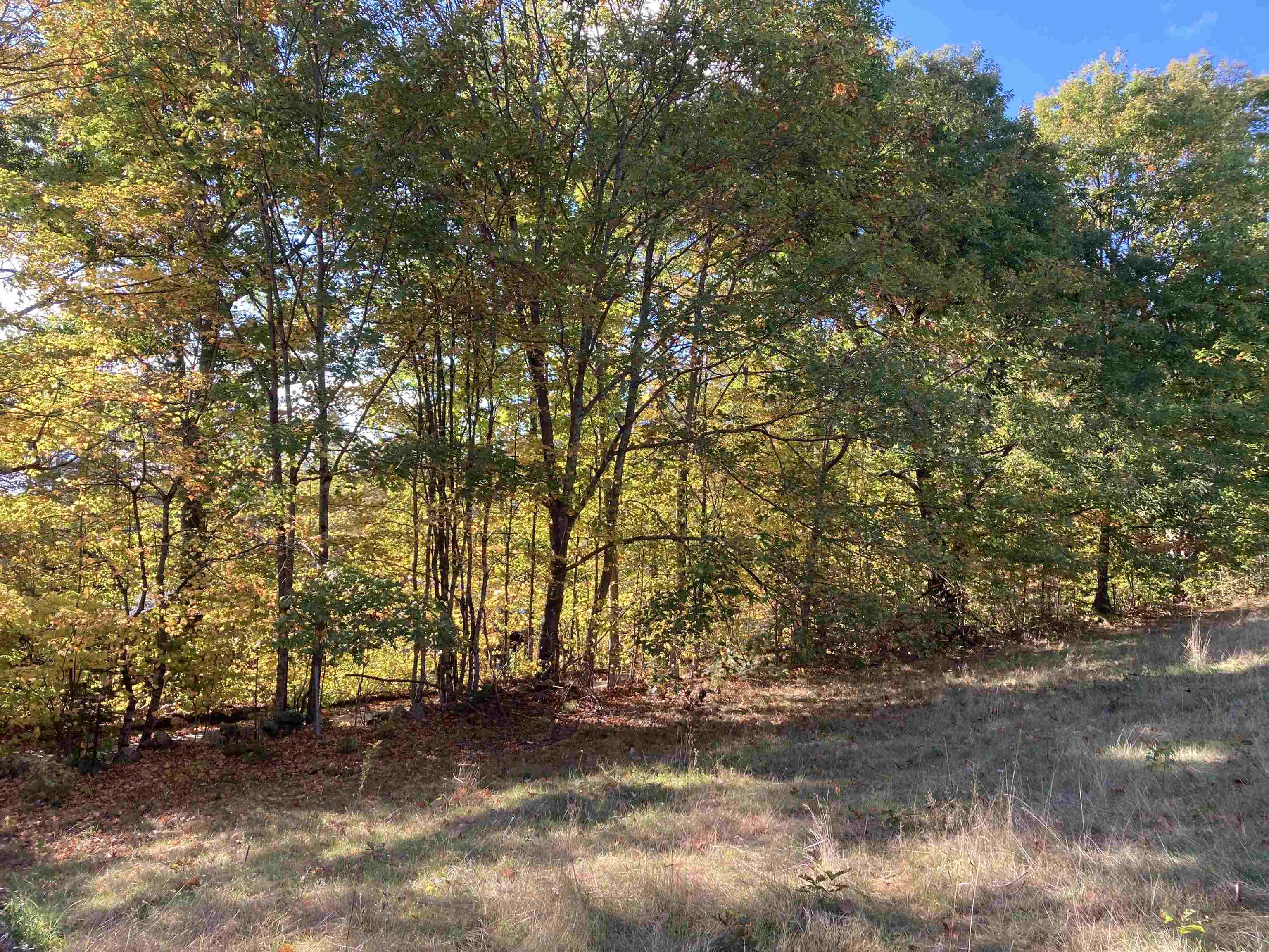 Hill Road Grafton, NH 03240 - Photo 9 of 43