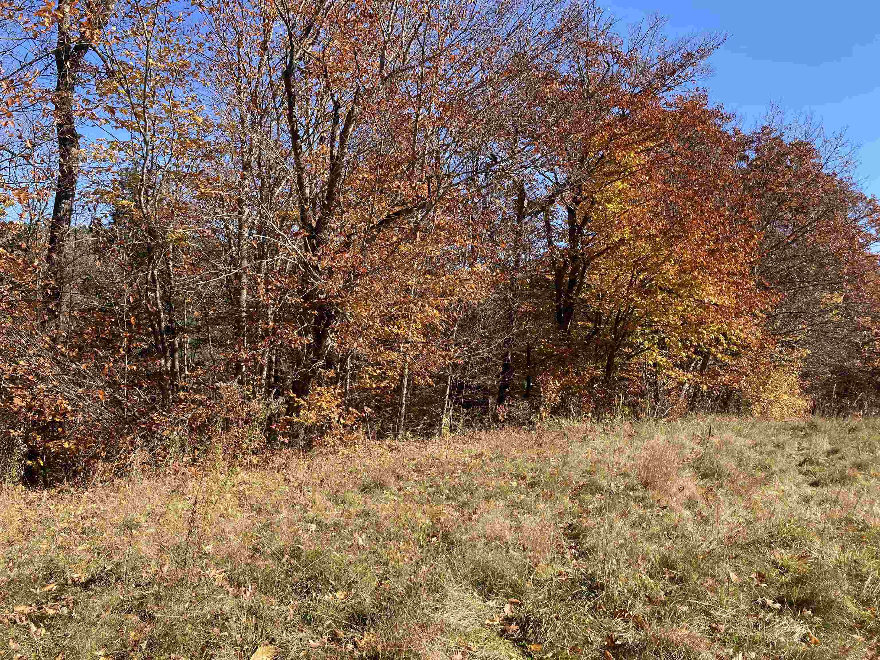 Hill Road Grafton, NH 03240 - Photo 10 of 43