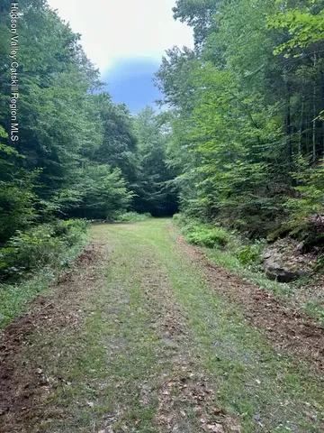 a view of a green field with lots of bushes