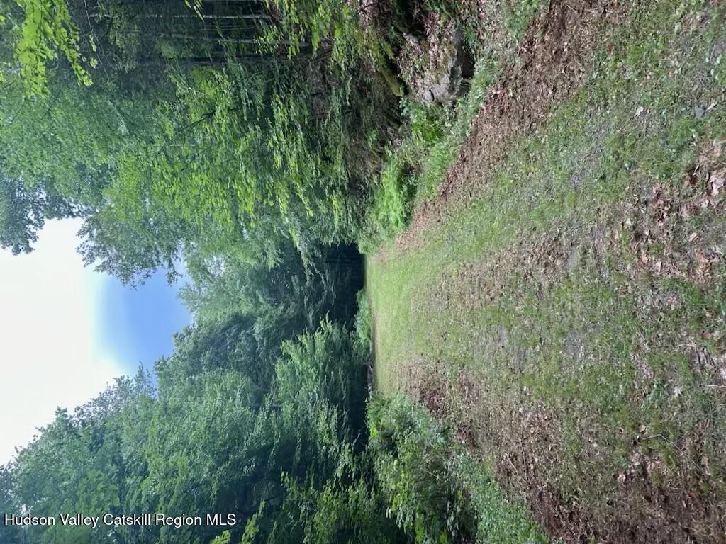a view of a green field with lots of bushes