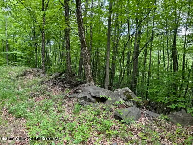 $120,000 | Tbd Railroad Road, Lanesville, NY 12450