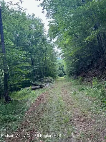 a view of a green field with lots of bushes