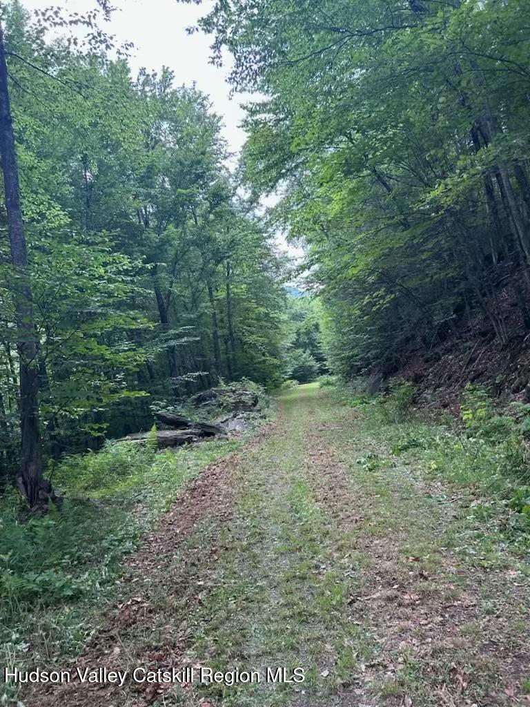 Tbd Railroad Road Lanesville, NY 12450 - Photo 3 of 14 a view of a green field with lots of bushes