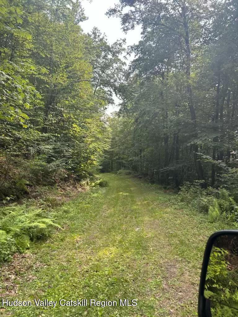 Tbd Railroad Road Lanesville, NY 12450 - Photo 4 of 14