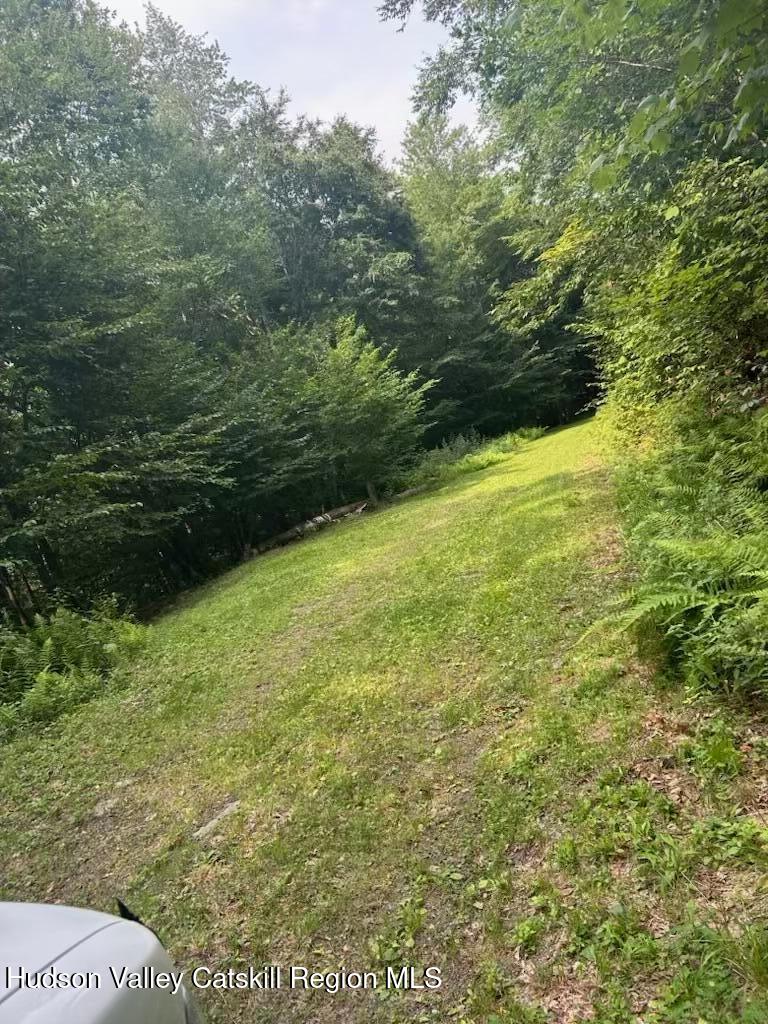 Tbd Railroad Road Lanesville, NY 12450 - Photo 5 of 14