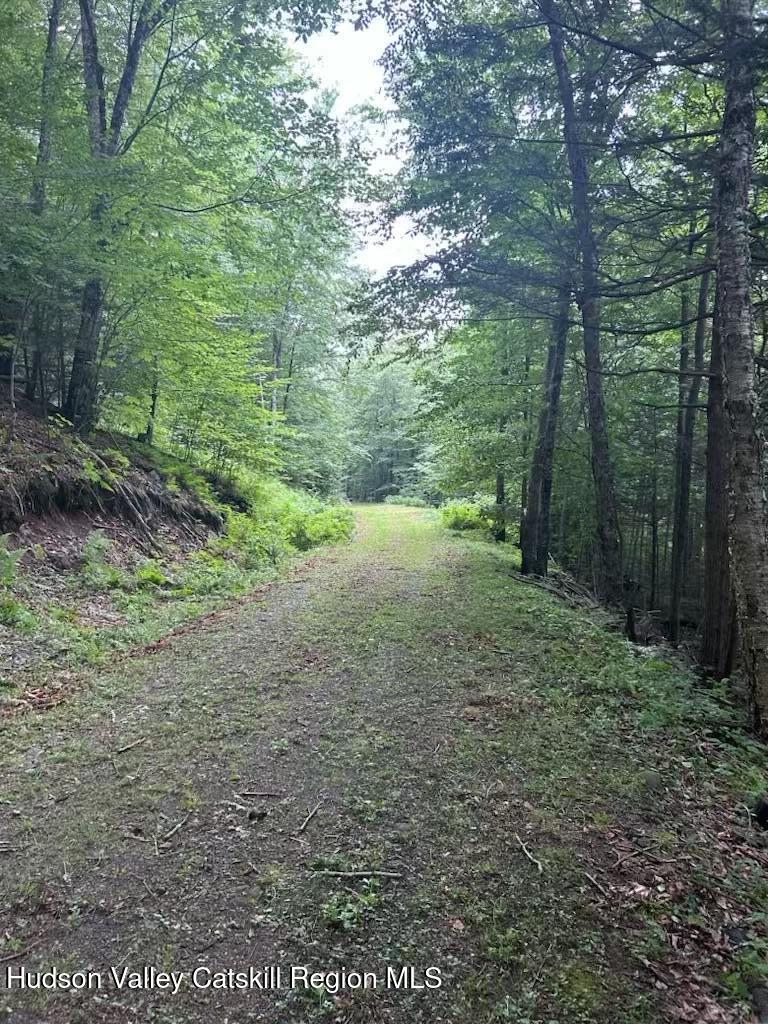 Tbd Railroad Road Lanesville, NY 12450 - Photo 7 of 14 a view of outdoor space and yard