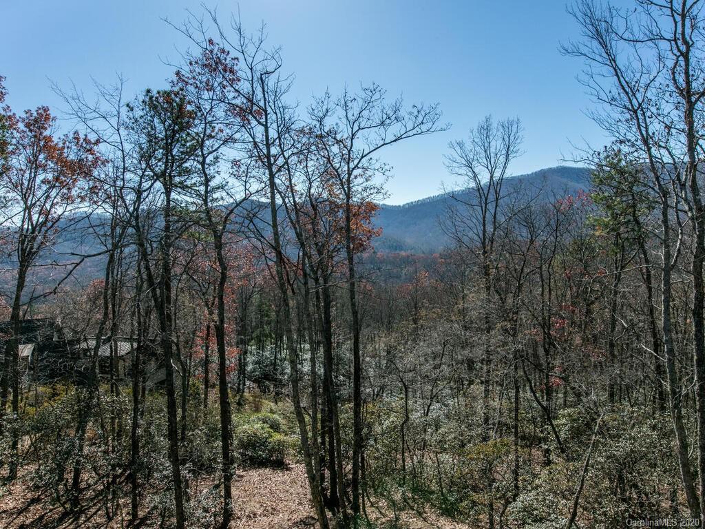 90 Smokey Ridge Trail Arden, NC 28704 - Photo 21 of 46 Gallery Image 21