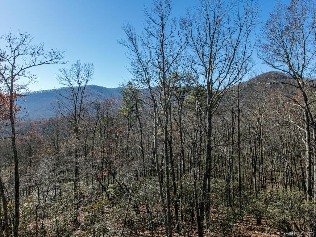 90 Smokey Ridge Trail Arden, NC 28704 - Photo 22 of 46 Gallery Image 22