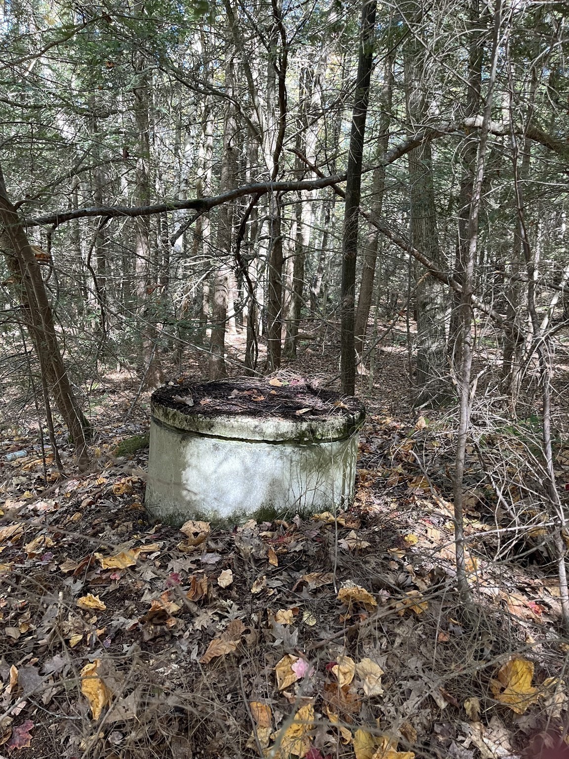 0 Otis Stage Road Blandford, MA 01008 - Photo 4 of 6 Gallery Image 4