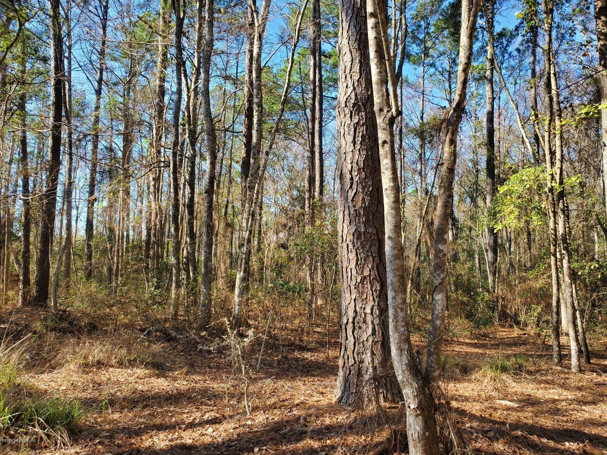 Tbd Hamp Hicks Road Bryceville, FL 32009 - Photo 12 of 16 Acreage12