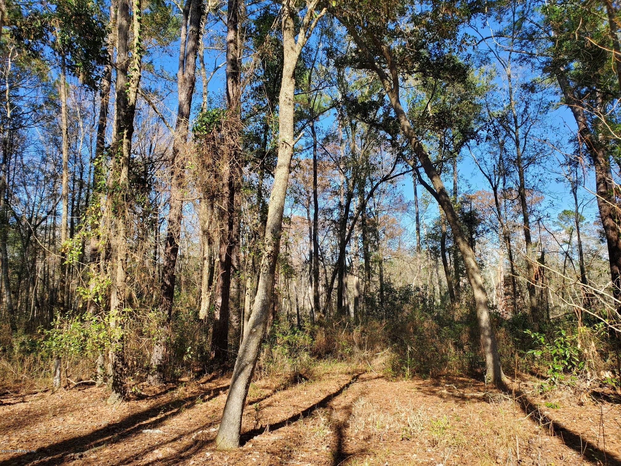 Tbd Hamp Hicks Road Bryceville, FL 32009 - Photo 13 of 16 Acreage13