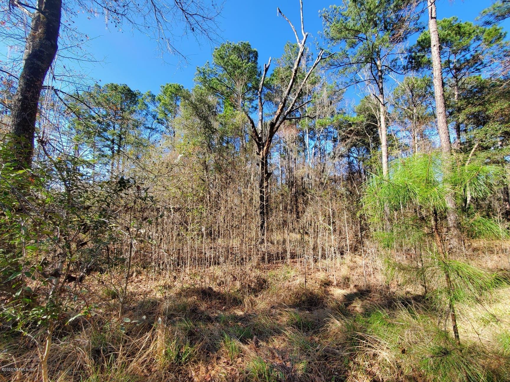 Tbd Hamp Hicks Road Bryceville, FL 32009 - Photo 14 of 16 Acreage14