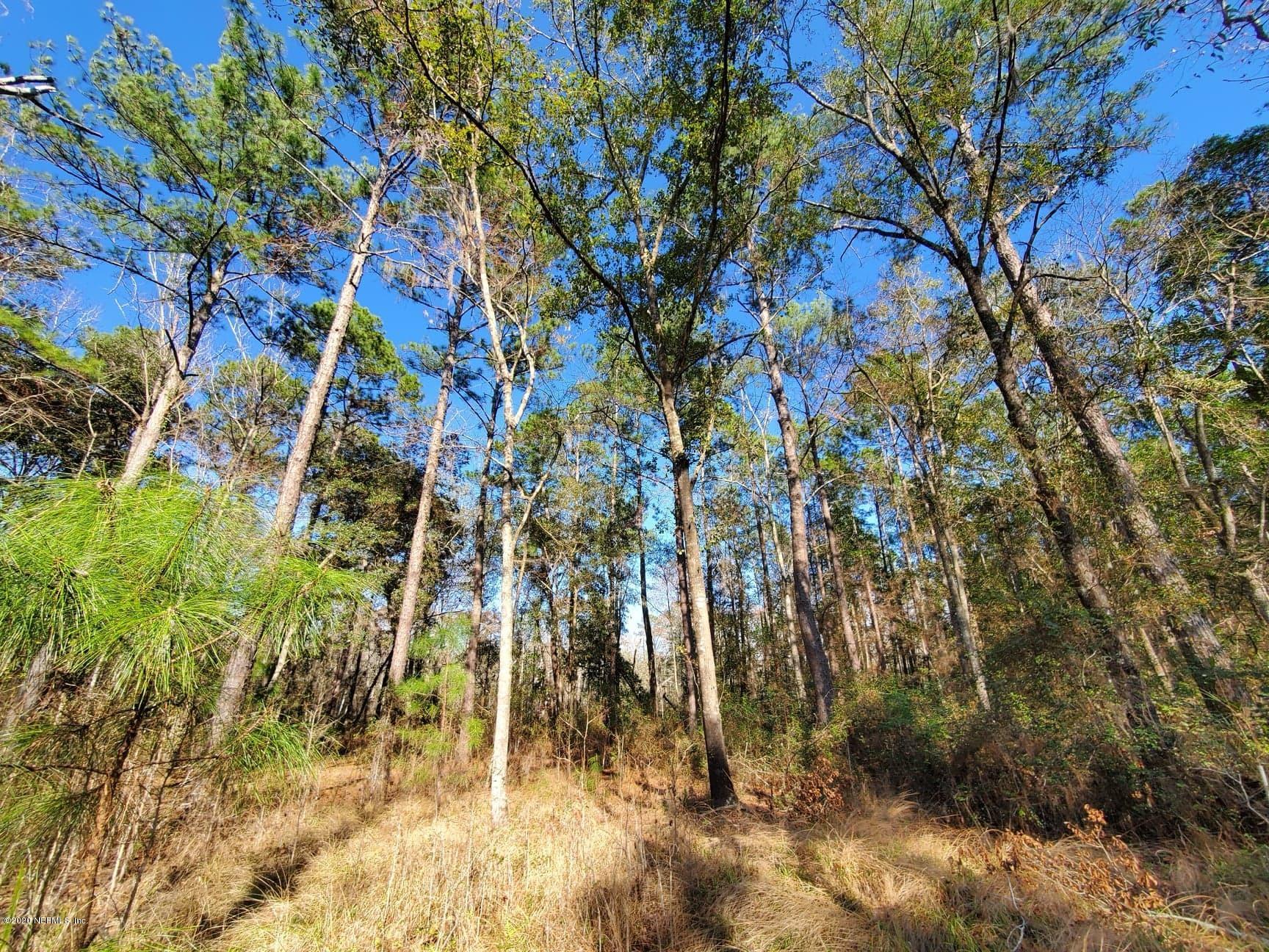Tbd Hamp Hicks Road Bryceville, FL 32009 - Photo 4 of 16 Acreage4