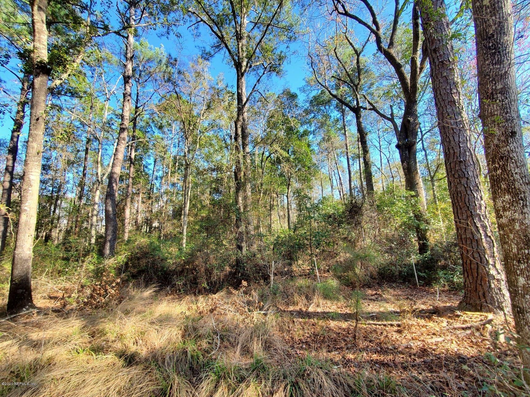 Tbd Hamp Hicks Road Bryceville, FL 32009 - Photo 10 of 16 Acreage10