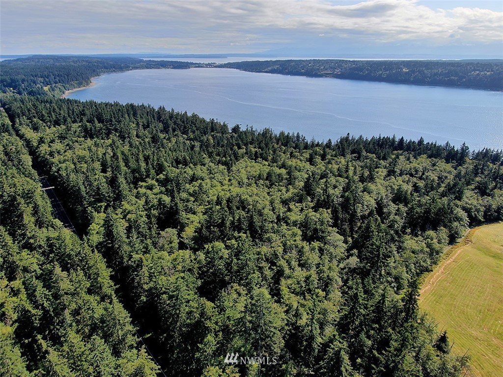 4420 East Harbor Road Freeland, WA 98249 - Photo 16 of 40 Gallery Image 16