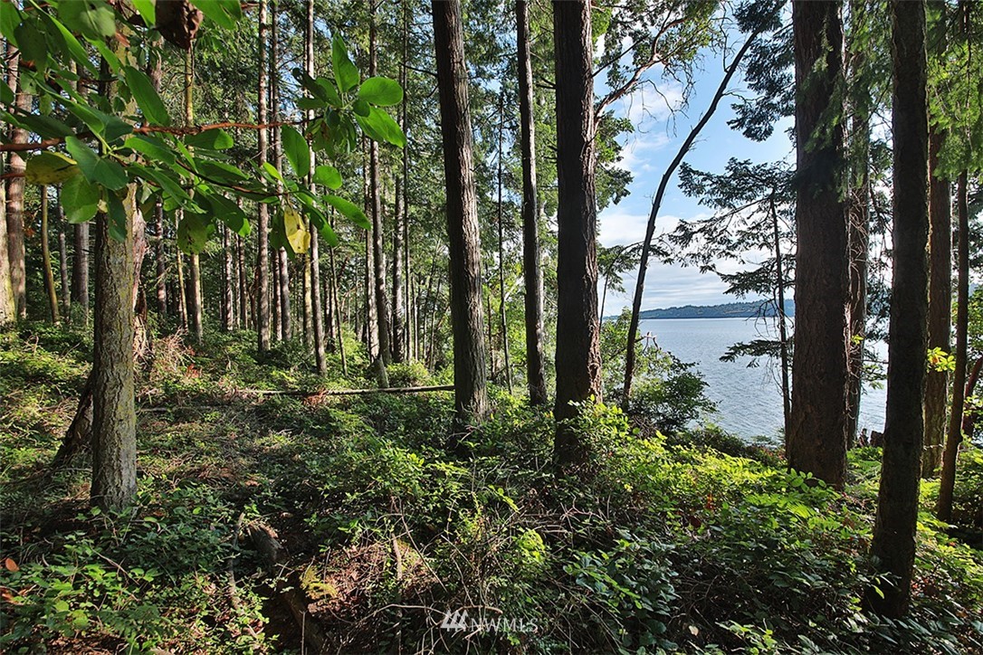 4420 East Harbor Road Freeland, WA 98249 - Photo 5 of 40 Gallery Image 5